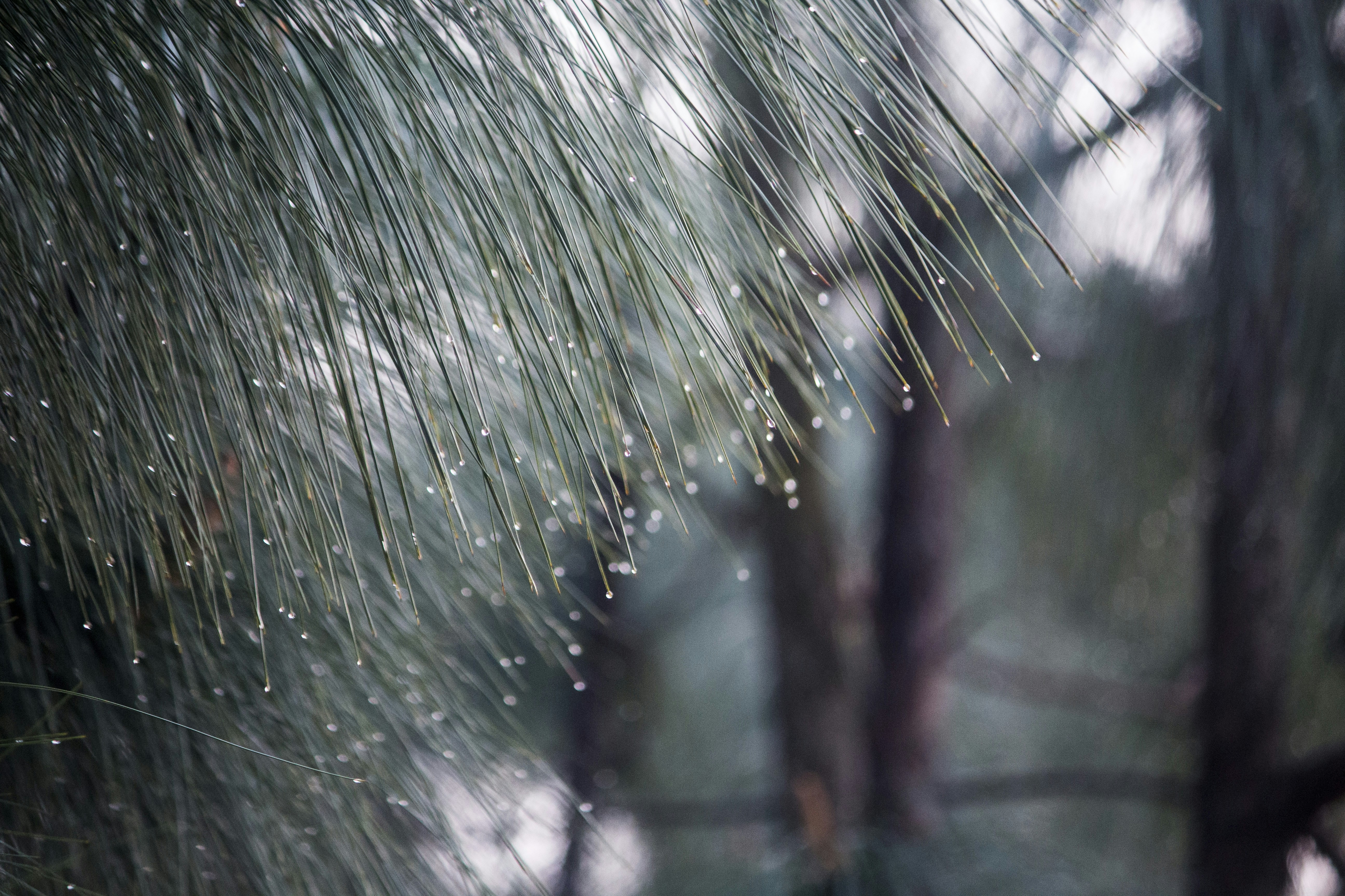 Photo by imagewaladevil_01