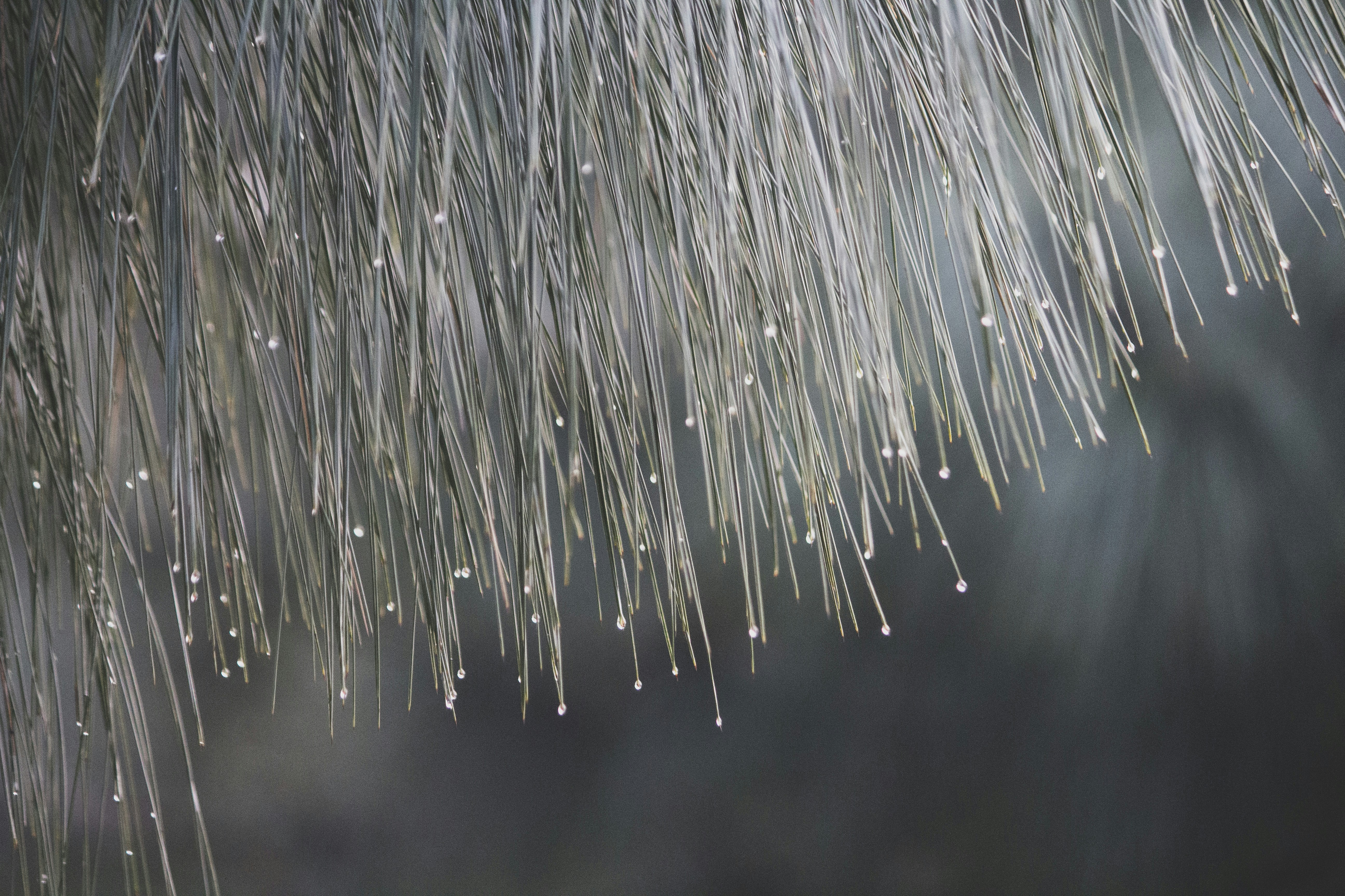 Photo by imagewaladevil_01