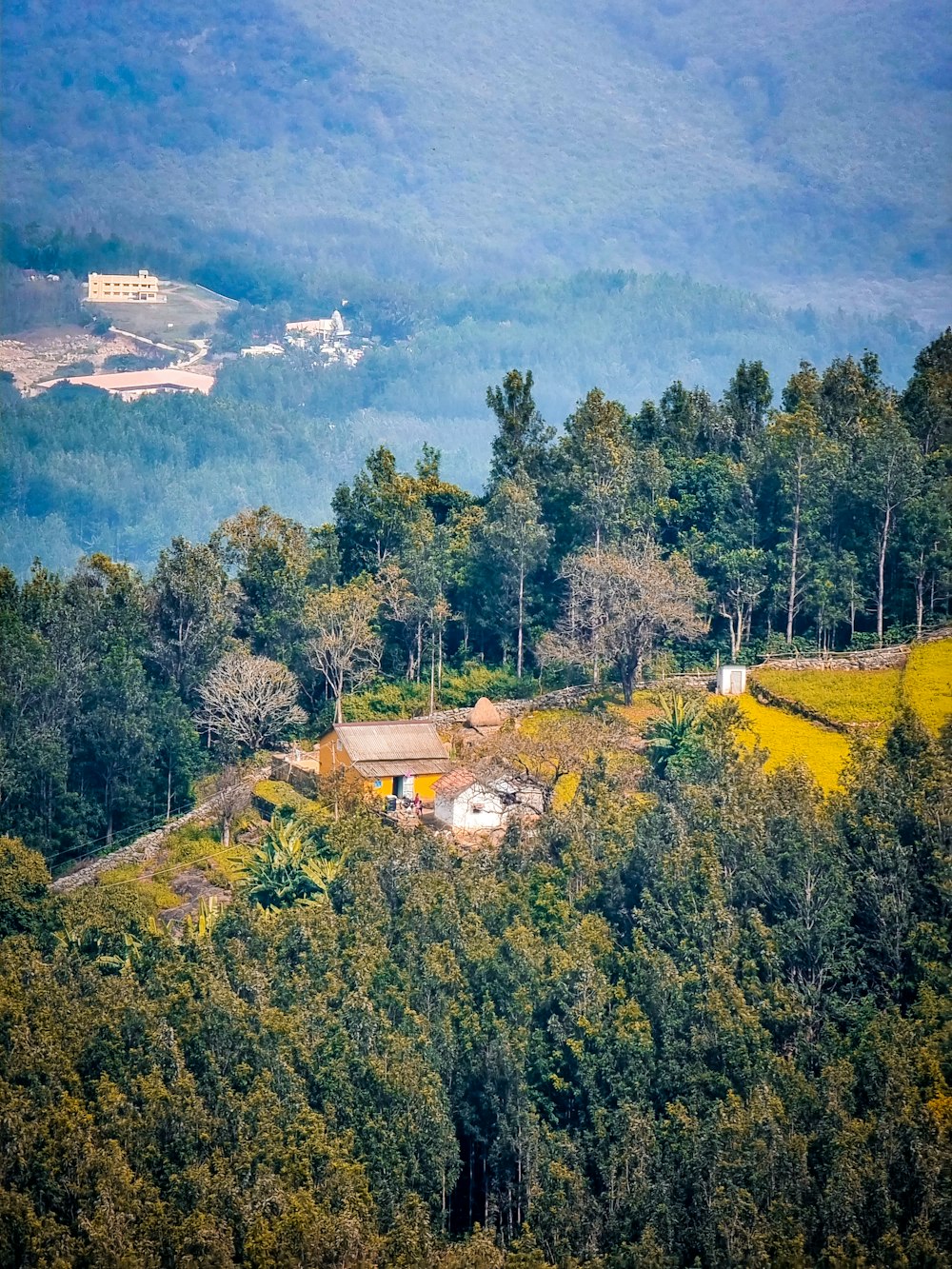 a view of a farm in the middle of a forested area