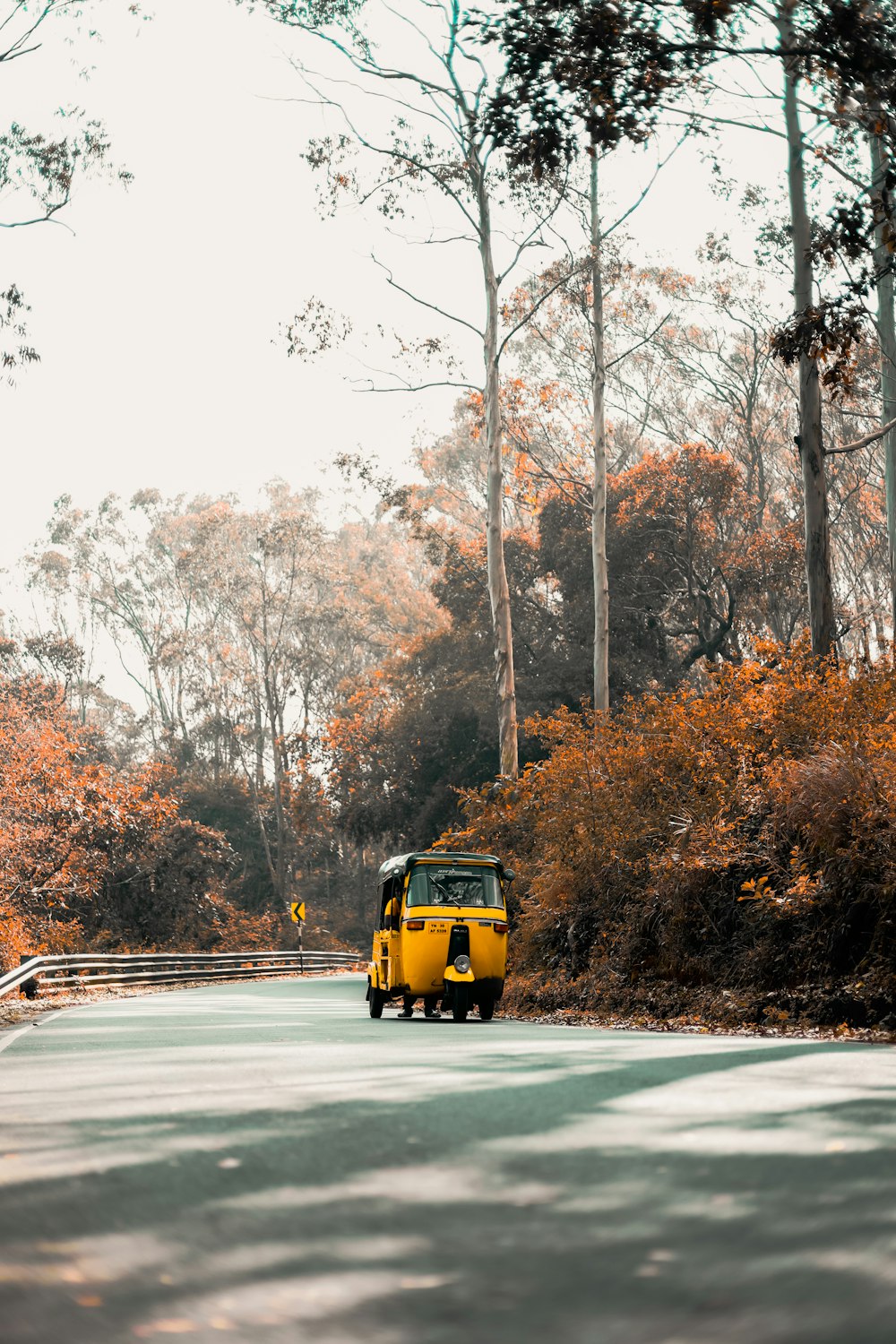 a yellow bus driving down a road next to a forest