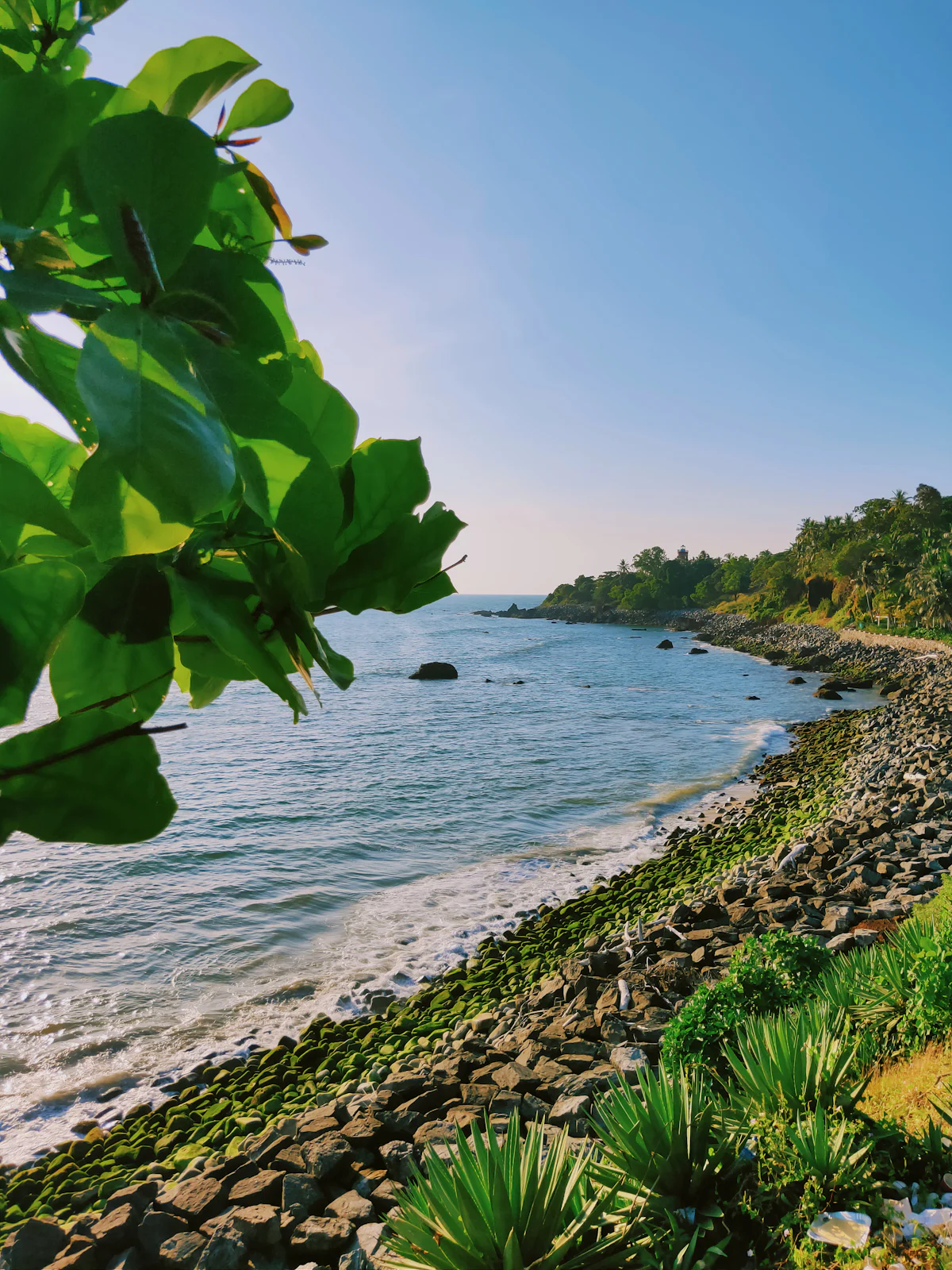Kannur