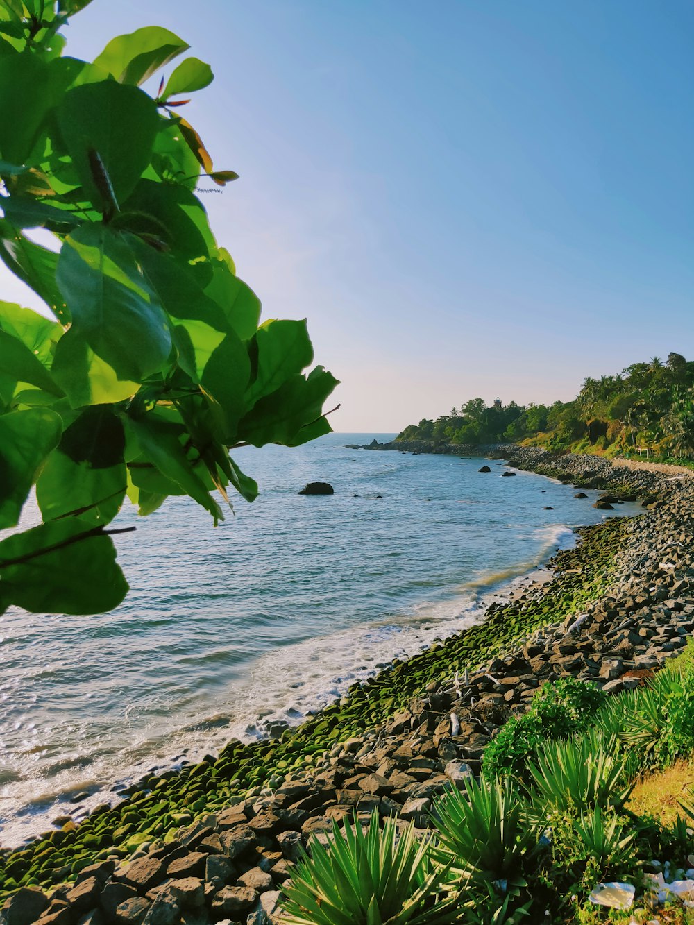 a view of a rocky beach with a body of water in the background