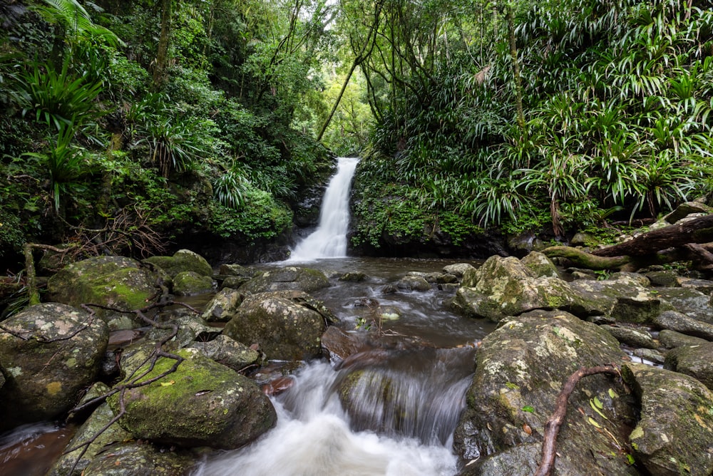 Ein kleiner Wasserfall mitten im Dschungel