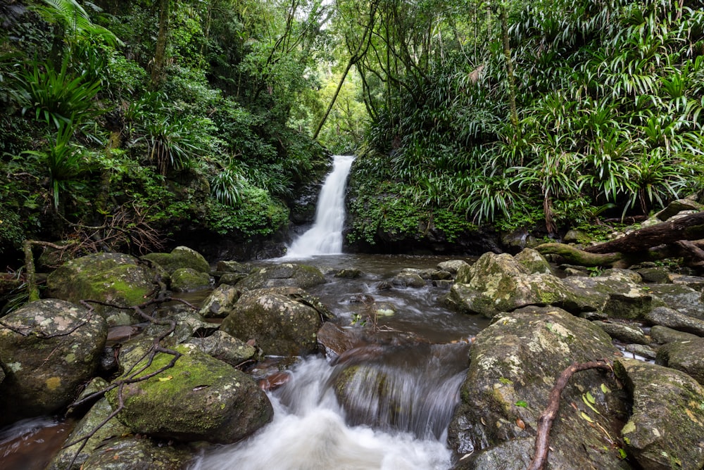 a small waterfall in the middle of a jungle