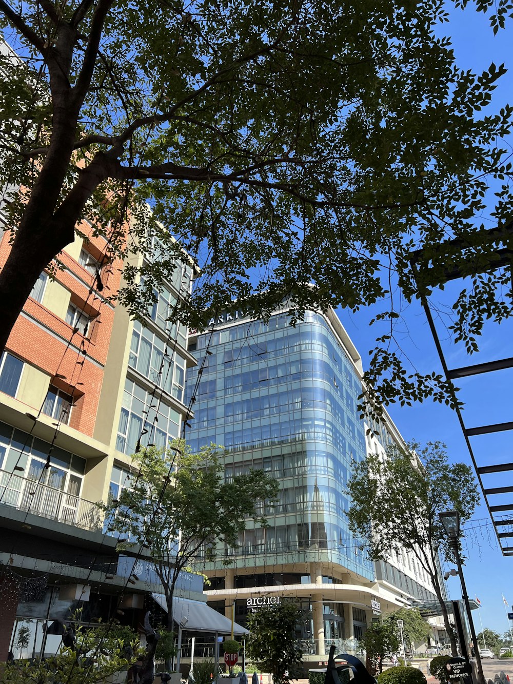 a tall glass building sitting next to a lush green park