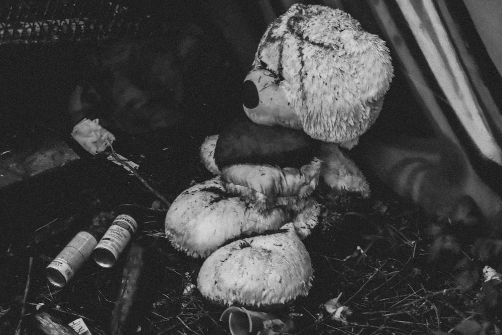 a black and white photo of a stuffed animal