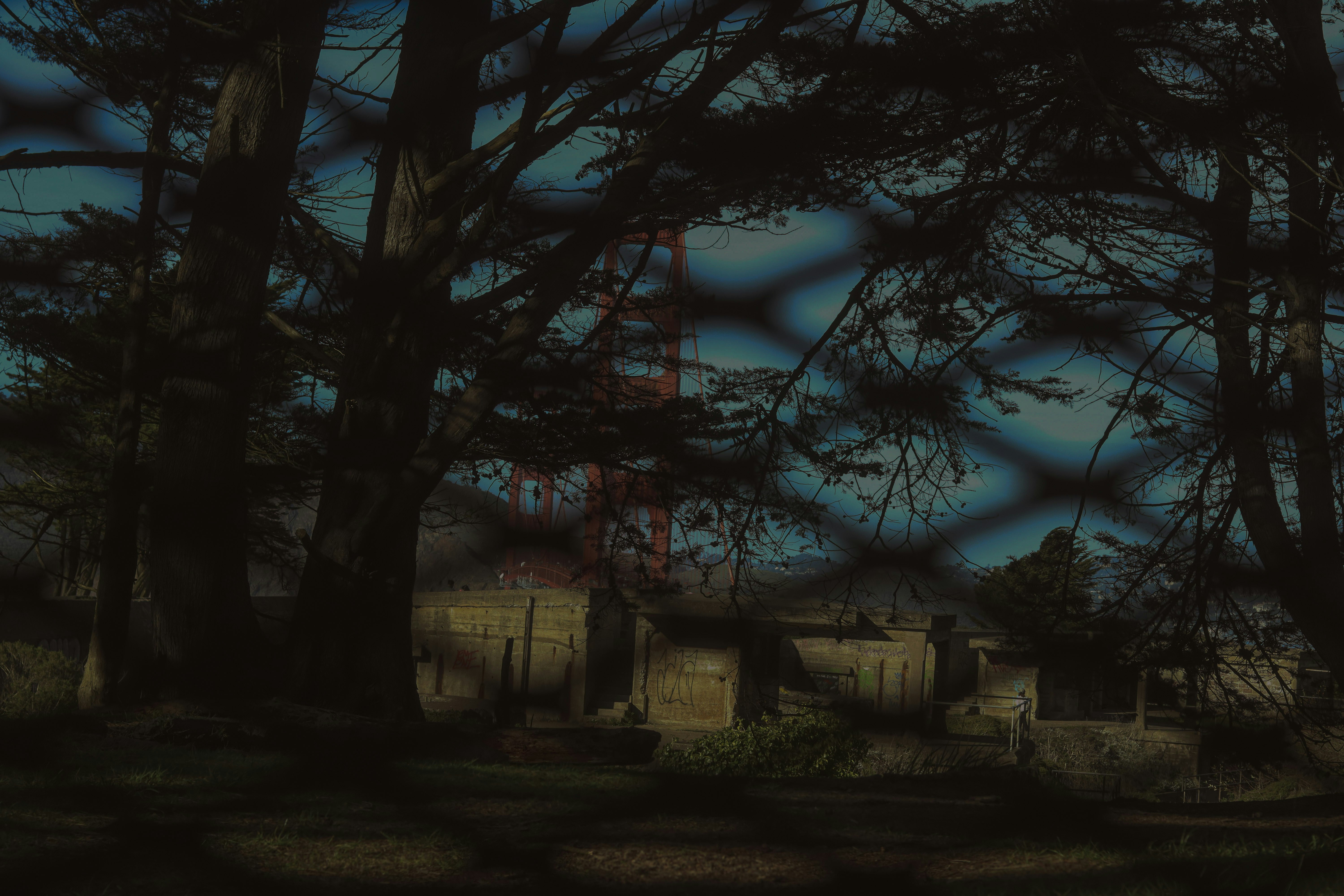 Photo by jbproductions510