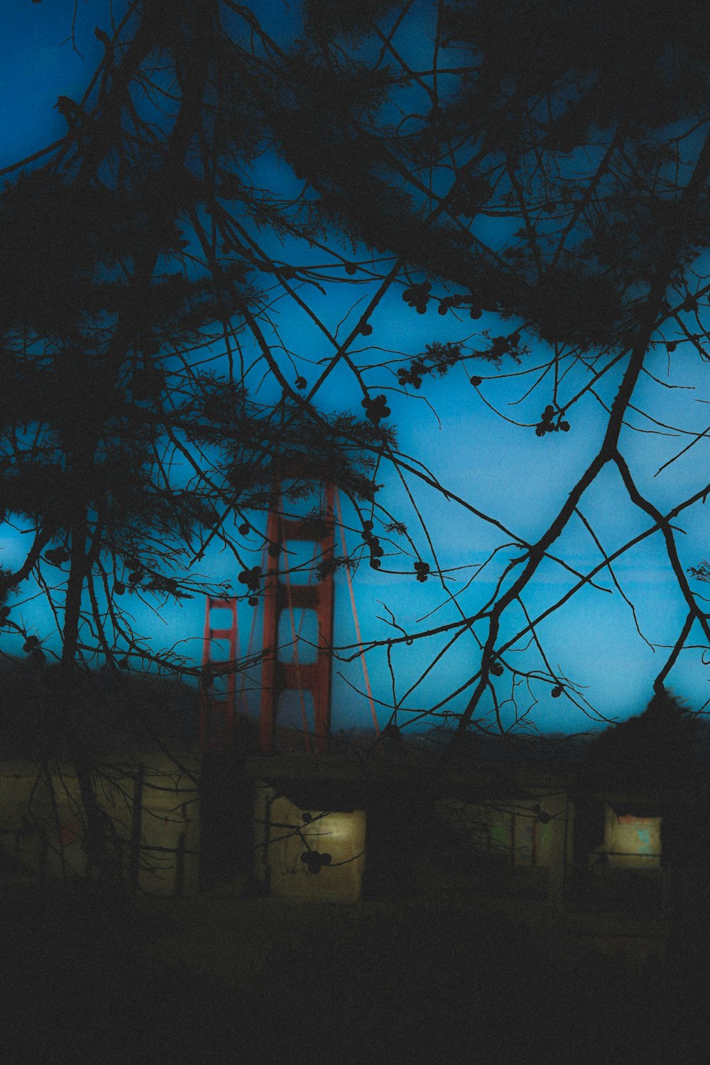 a view of the golden gate bridge through the trees