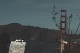 A person is painting a scene outdoors with the Golden Gate Bridge in the background. The bridge spans across a body of water with hills in the distance, and the scene is framed by some silhouetted branches.