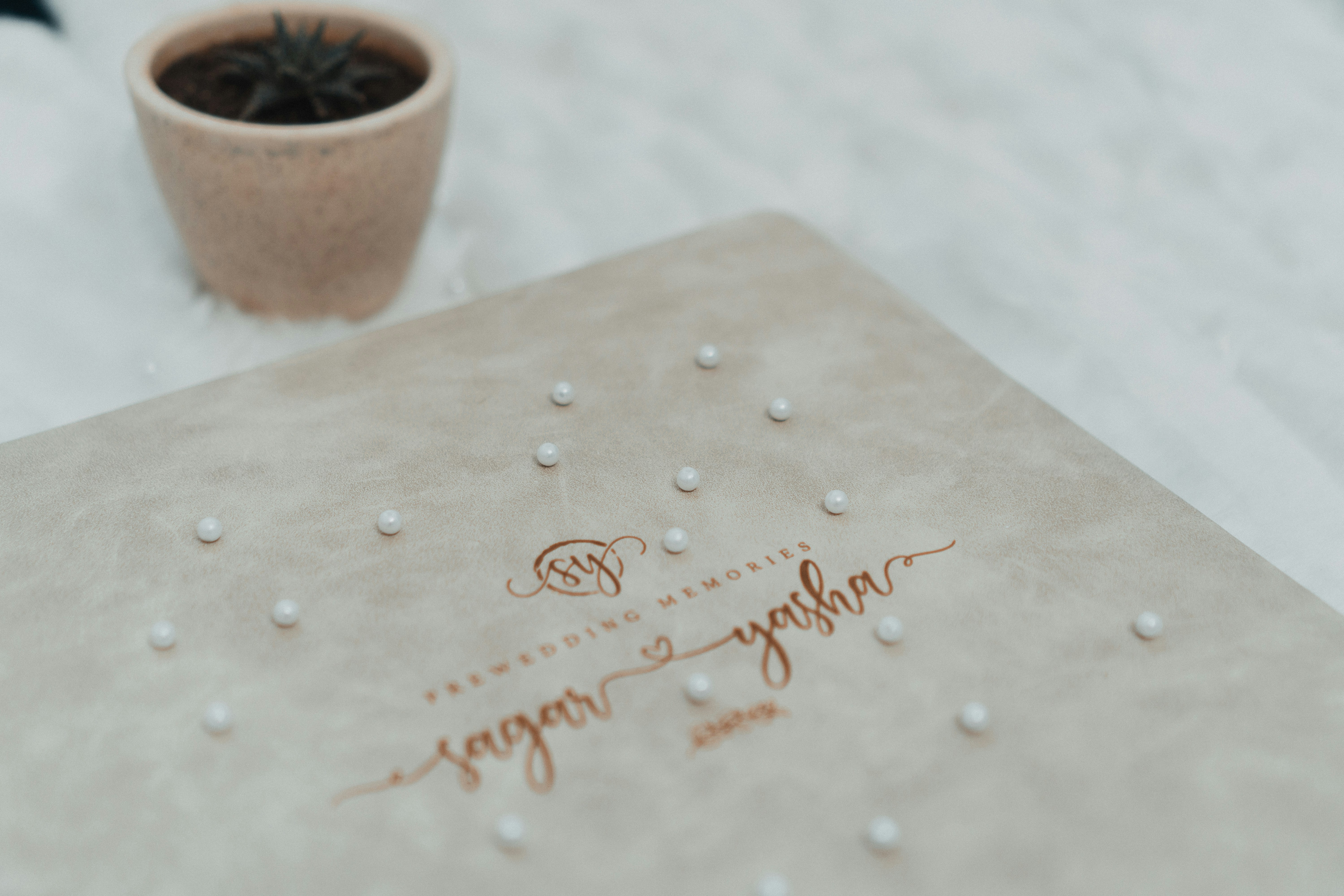 a small potted plant sitting on top of a table