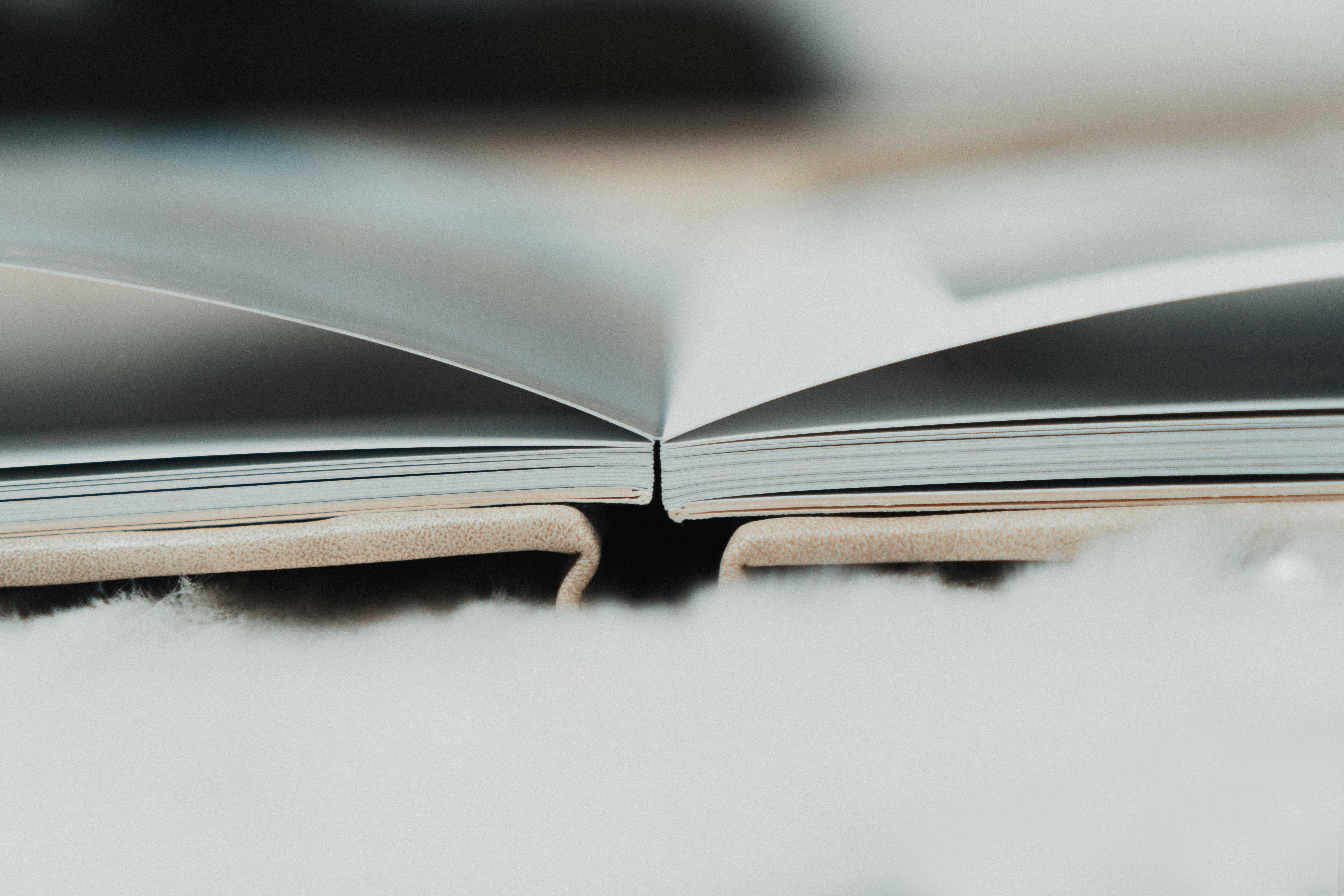 wedding album background, wallpaper, Wedding Photo Album: Creating a Timeless Keepsake 6