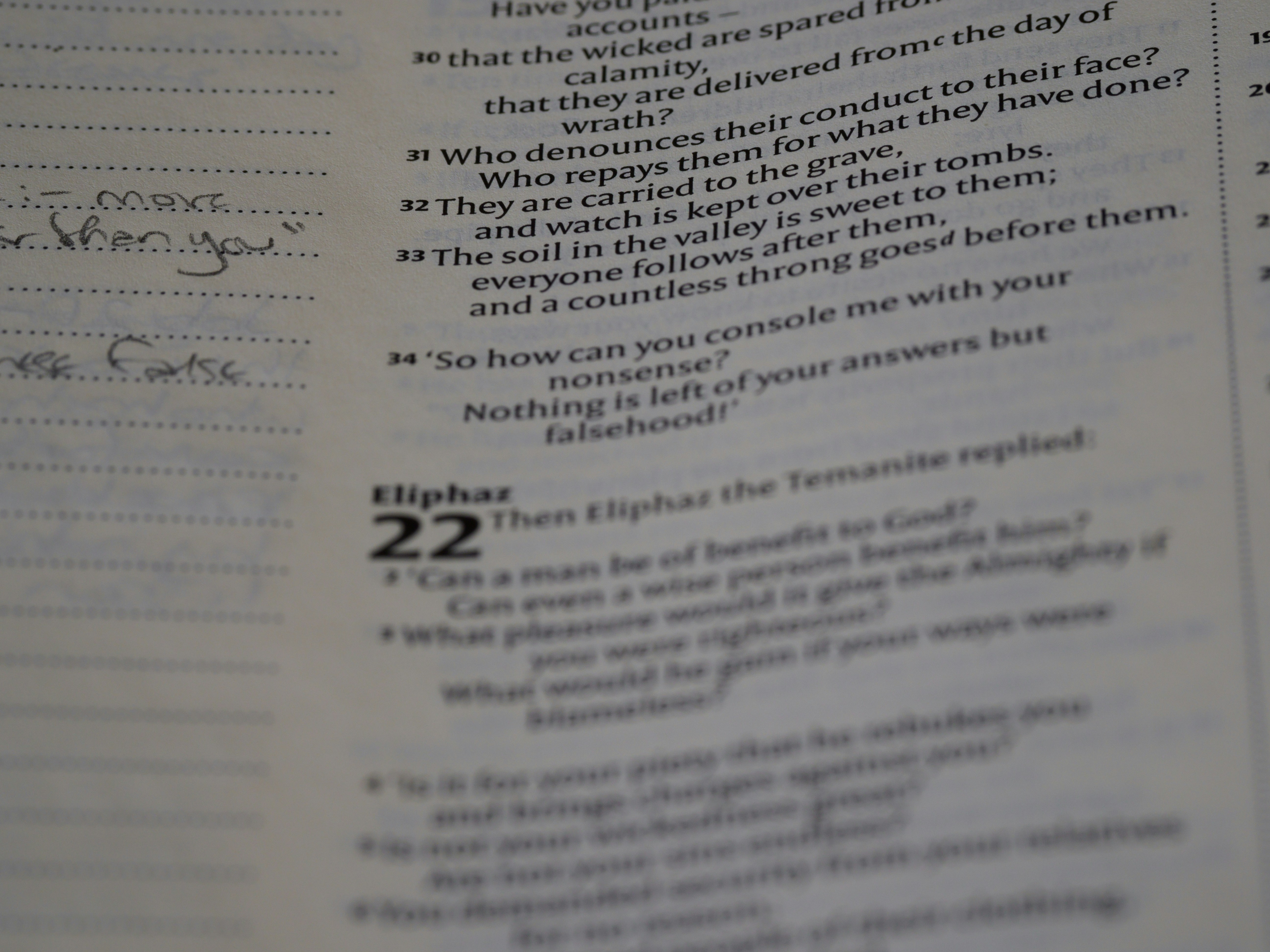 close up, bokeh, macro, blur, blurred background, close focus, bible, old testament, hebrew bible, christian, judaism, history, text, reading, bible study, devotions, text, NIV, New International Version, type, typography, canon, christianity, holy scripture, holy bible, scripture, old testament, hebrew bible, tanakh, ketuvim, book of job, job, אִיּוֹב, theodicy, satan, the accuser, הַשָּׂטָן, <br />