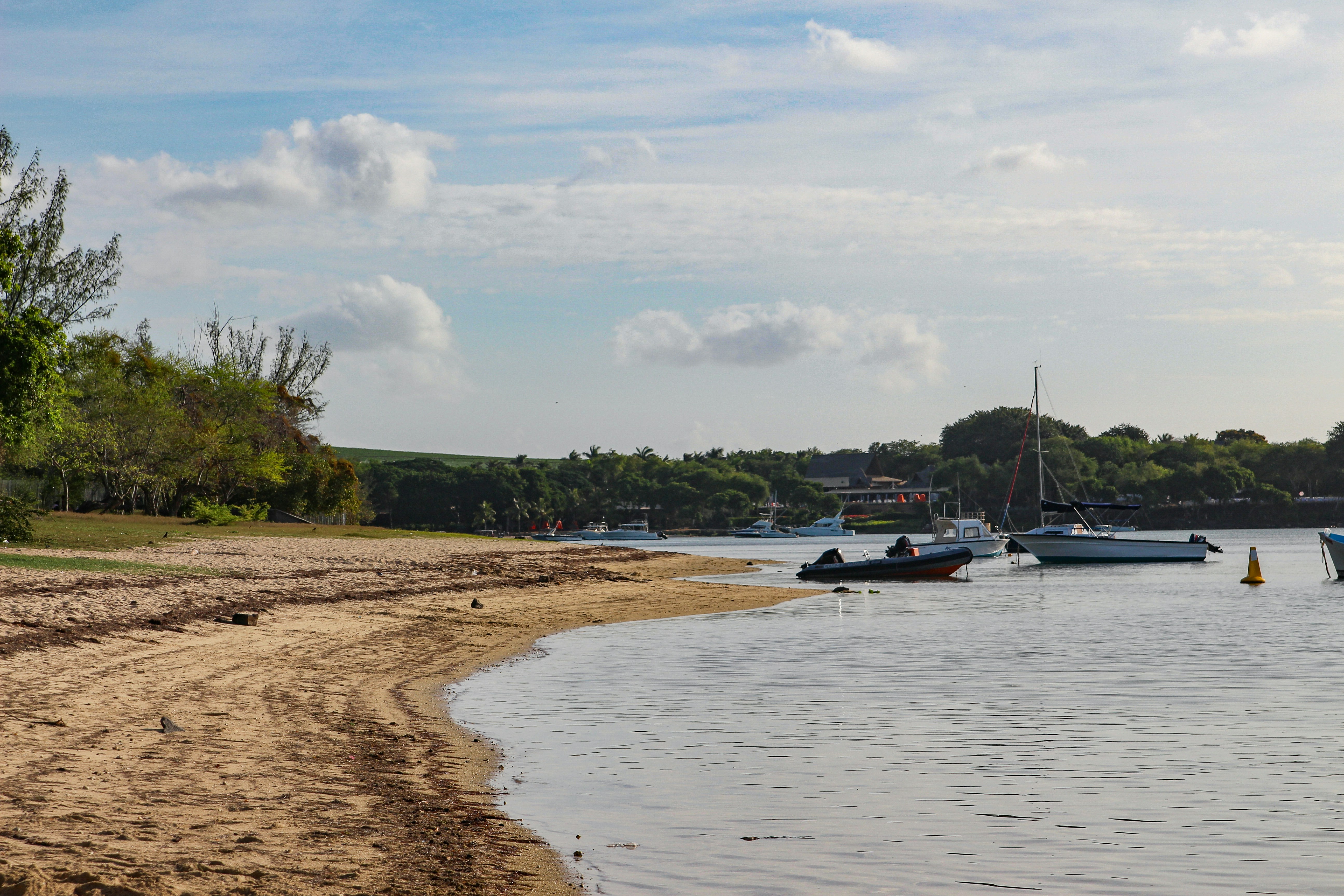 Photo by tudor_photography