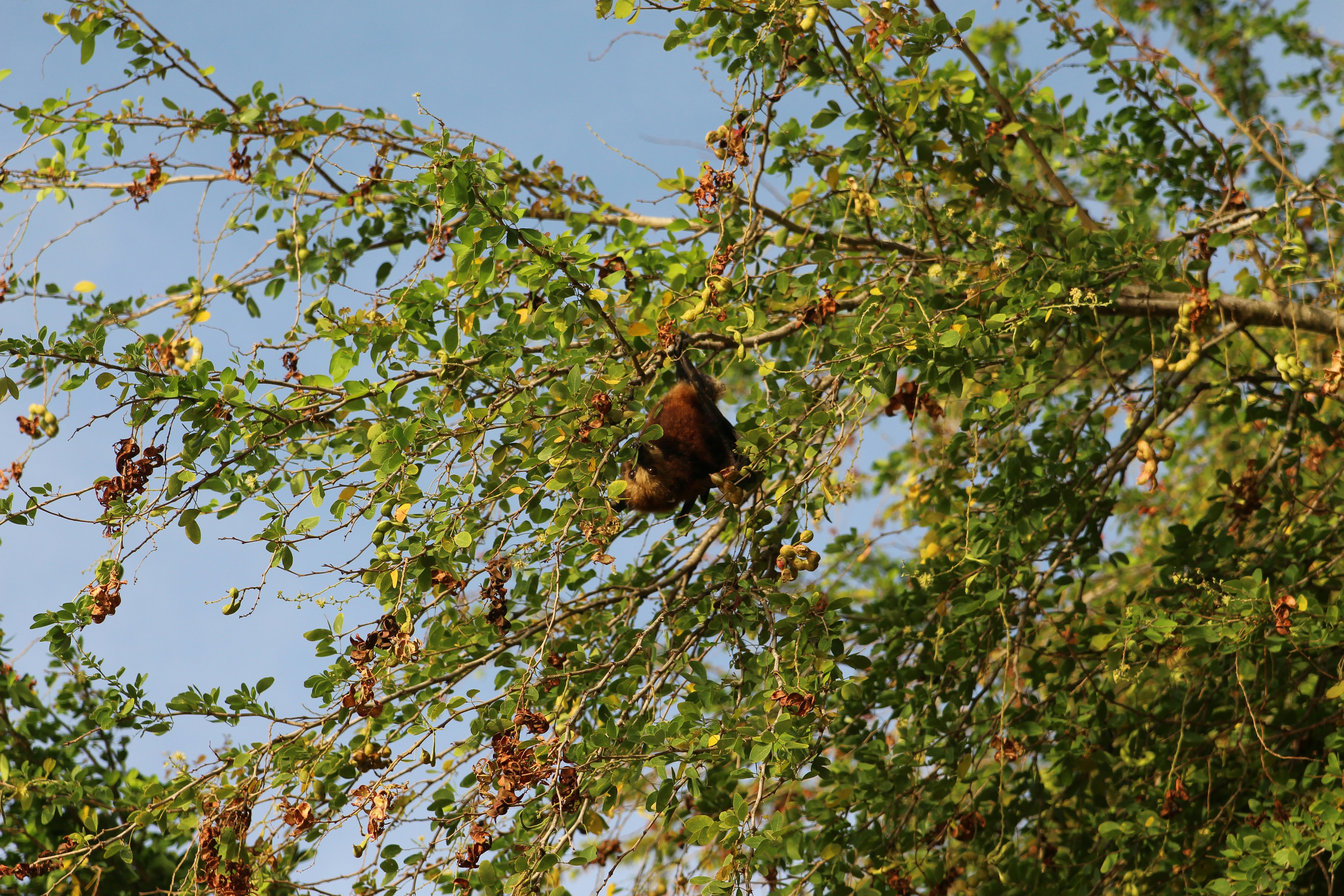 Photo by tudor_photography