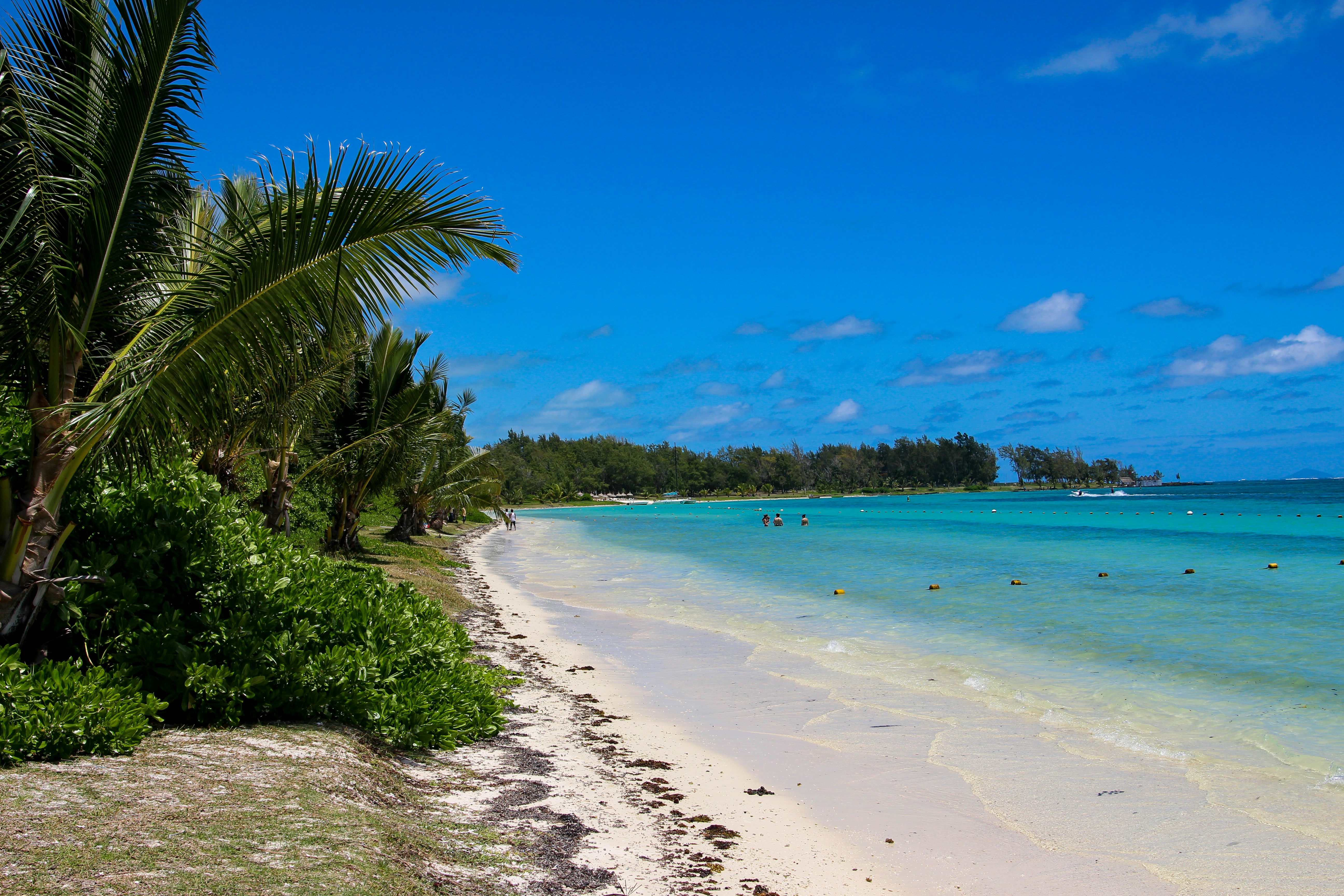 Photo by tudor_photography