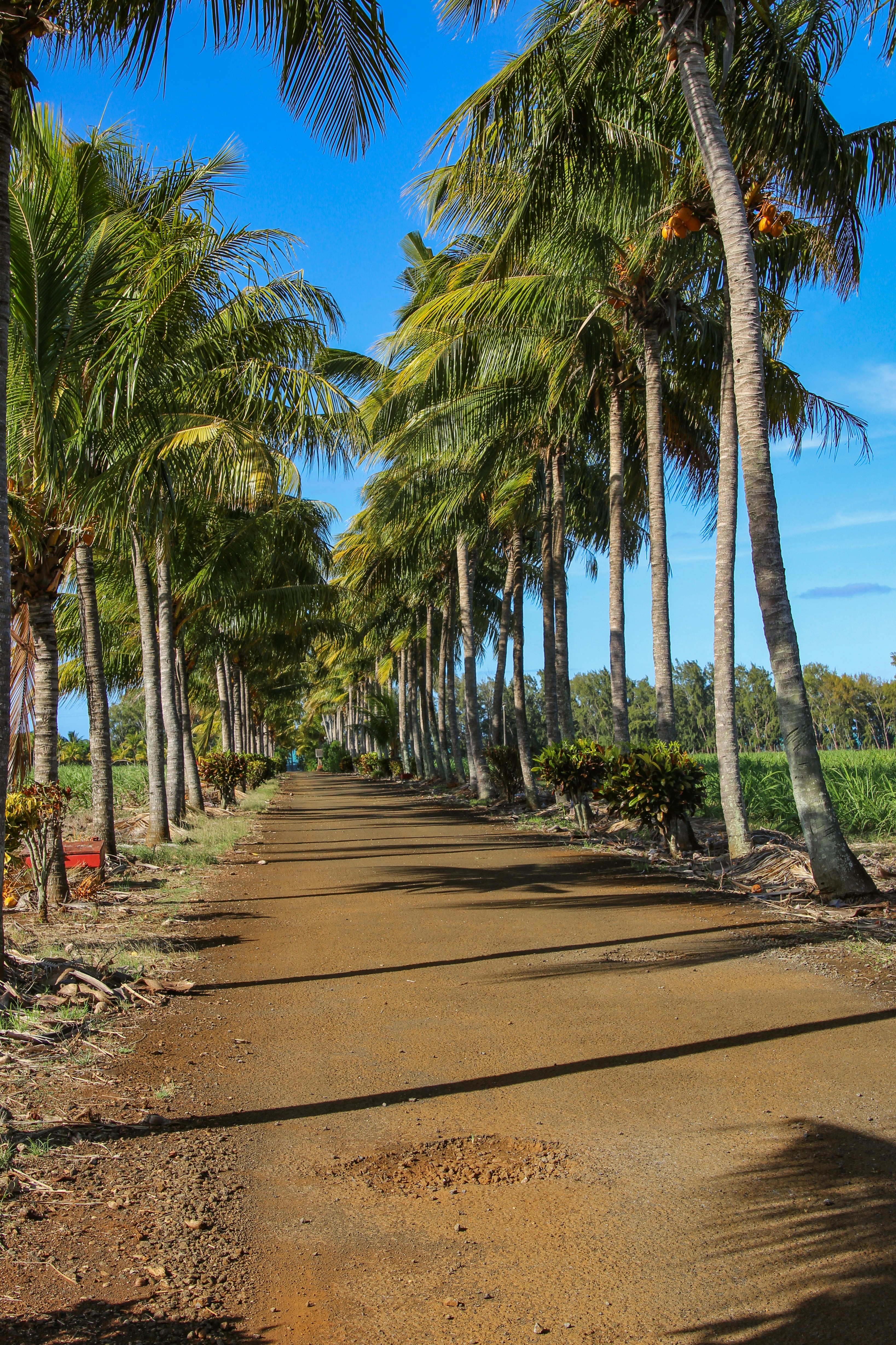 Photo by tudor_photography