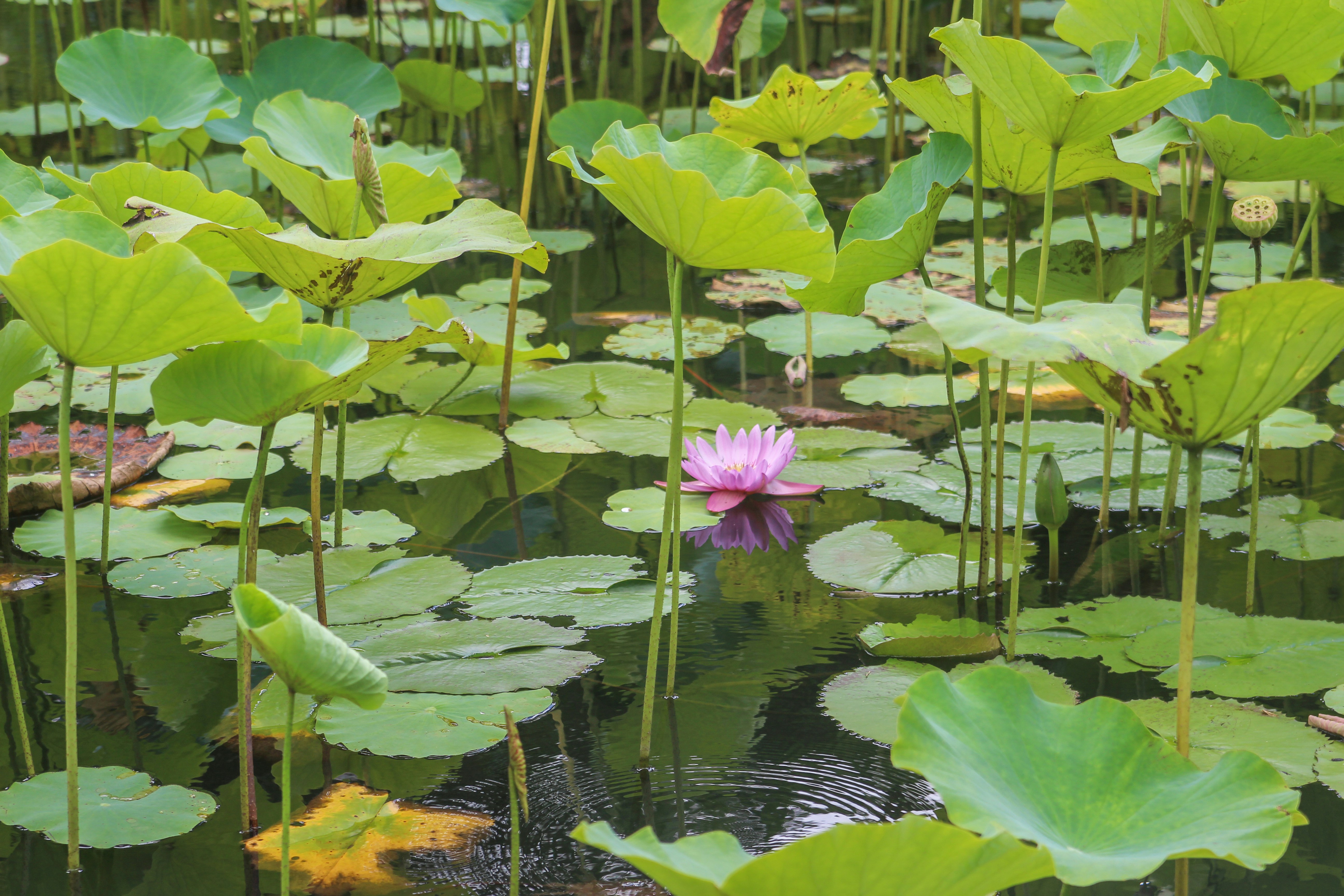 Photo by tudor_photography