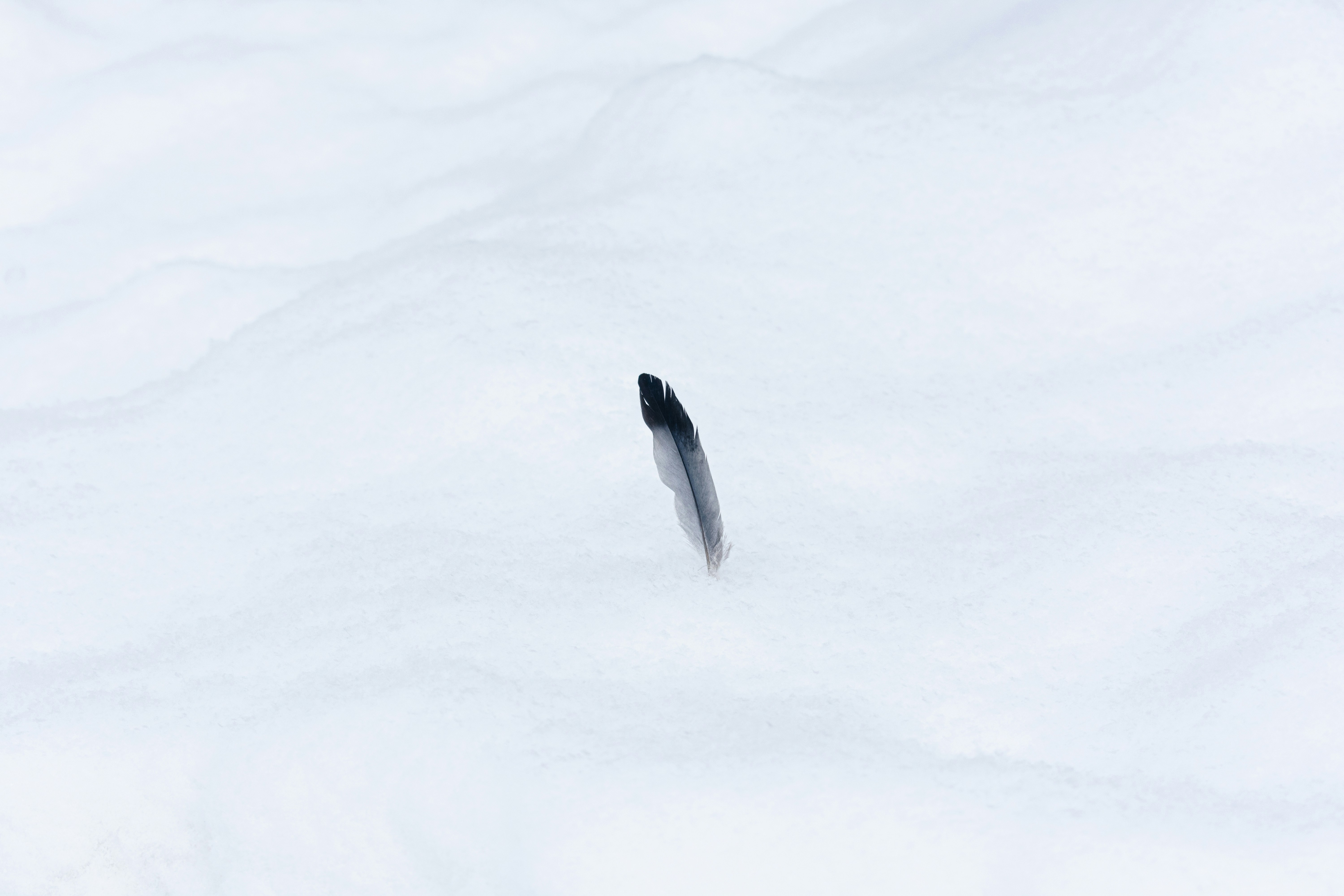 Photo by therealslkhv