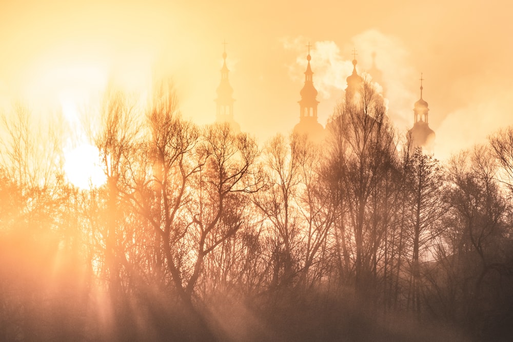 the sun shines through the trees in front of a church