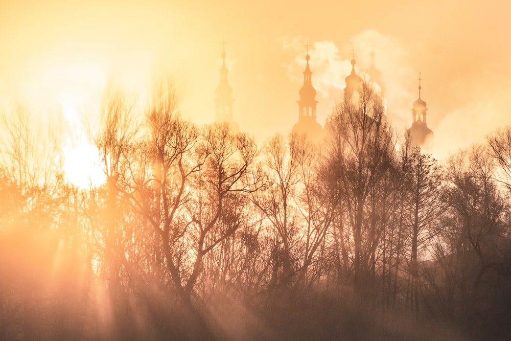 Le soleil brille à travers les arbres devant une église