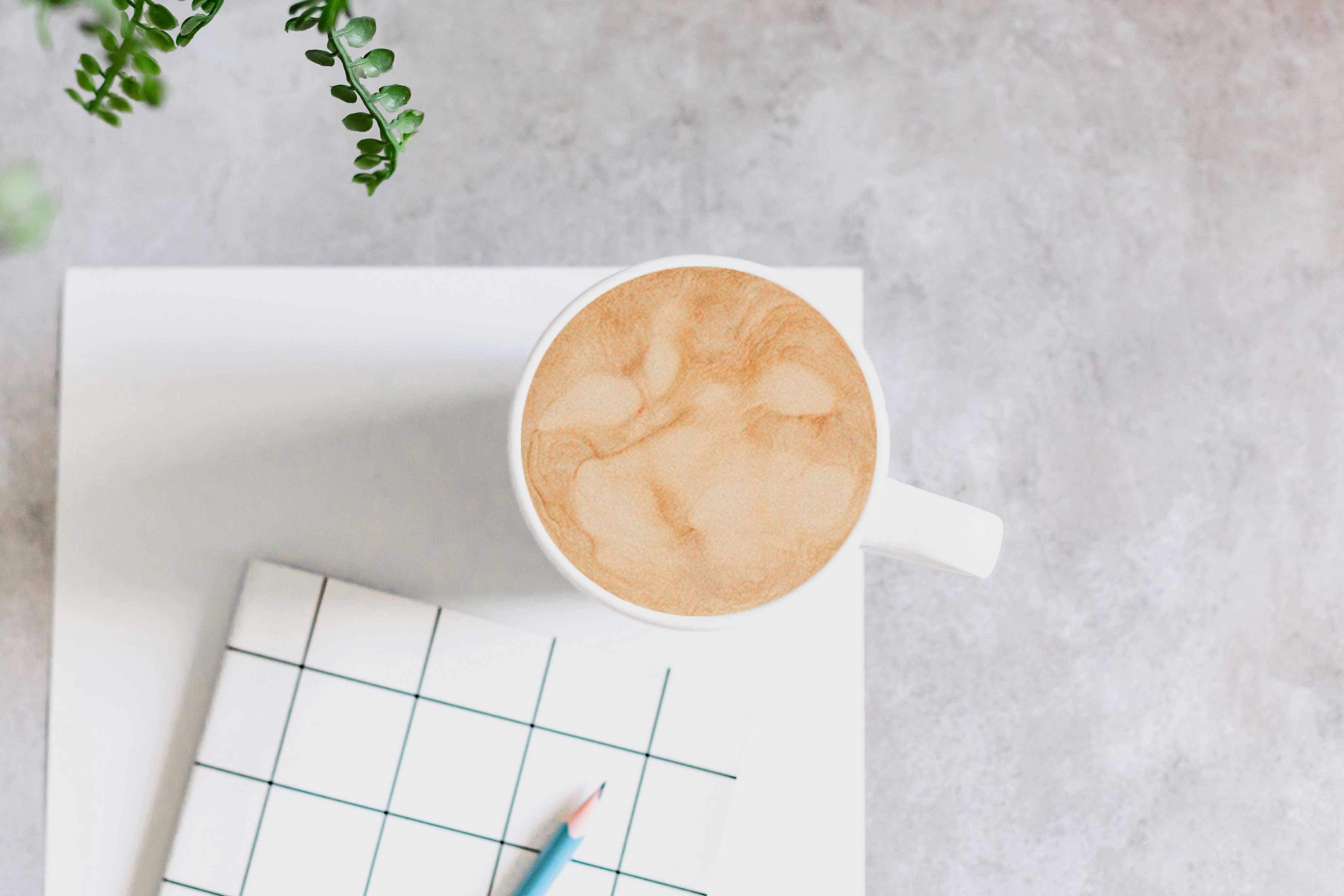 Photo by sincerelymedia