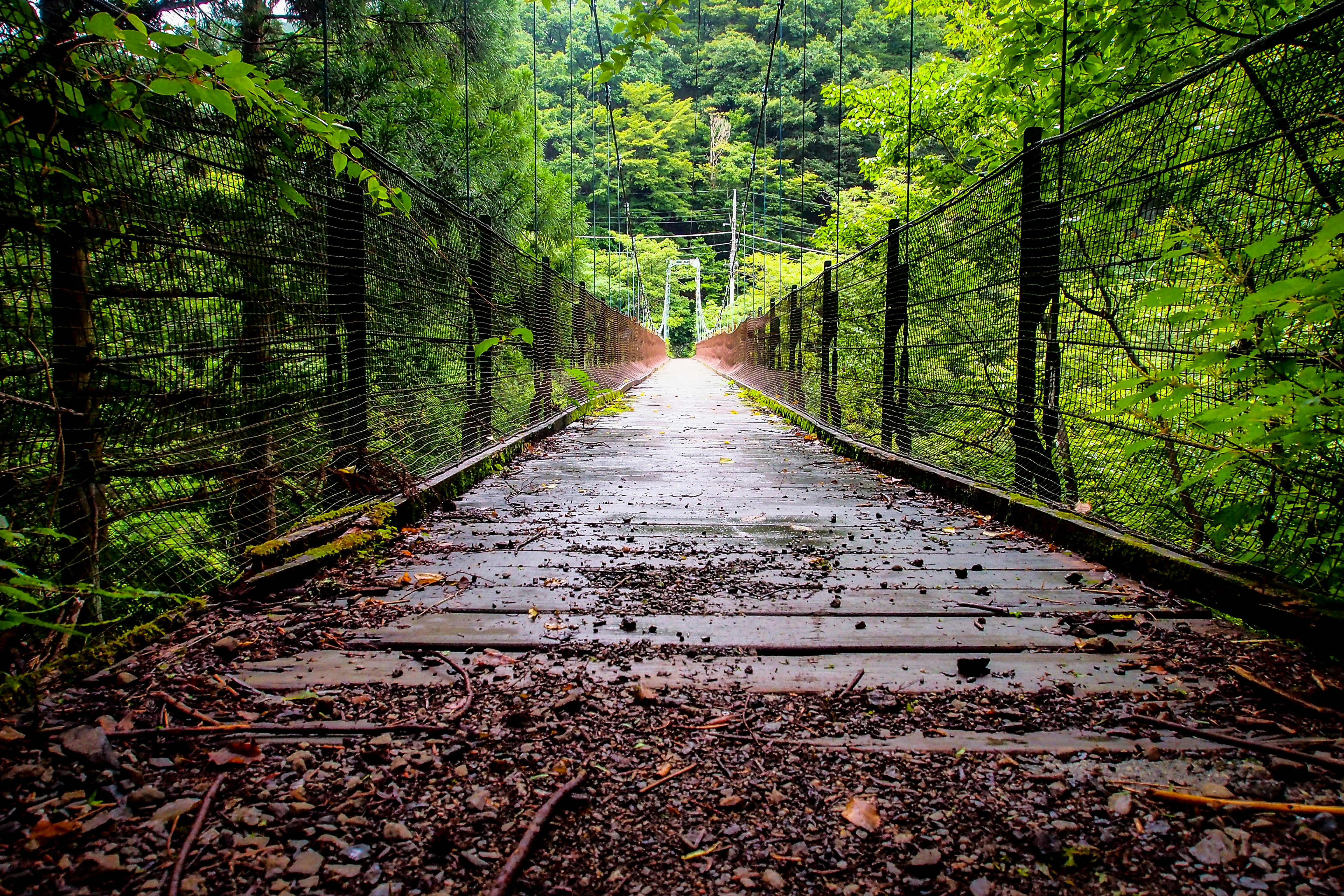 Photo by galihsputro