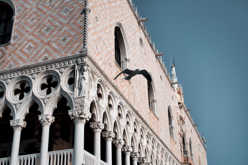 a bird flying over a building with a balcony