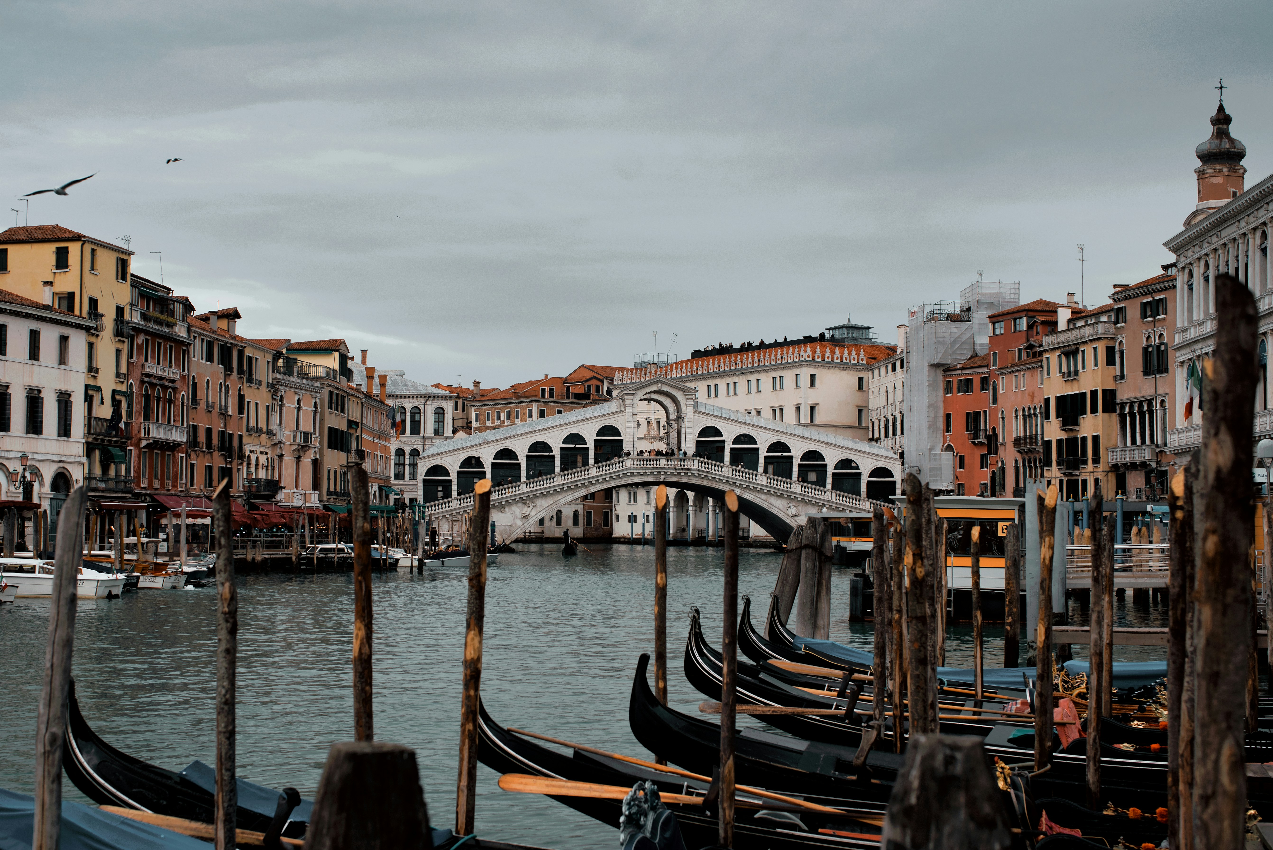 rialto bridge and grand canal in venice