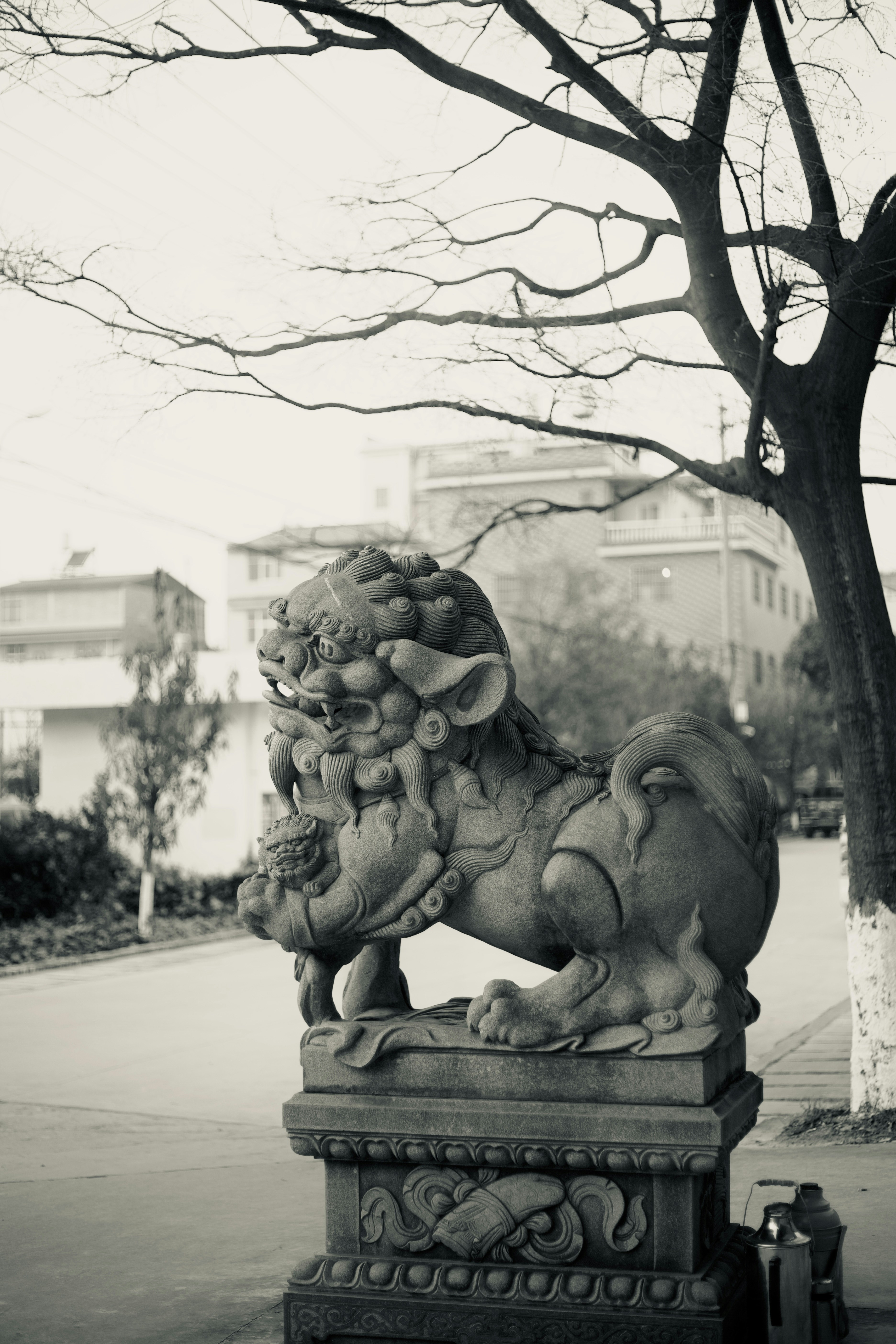 Lion garden statue for Sale