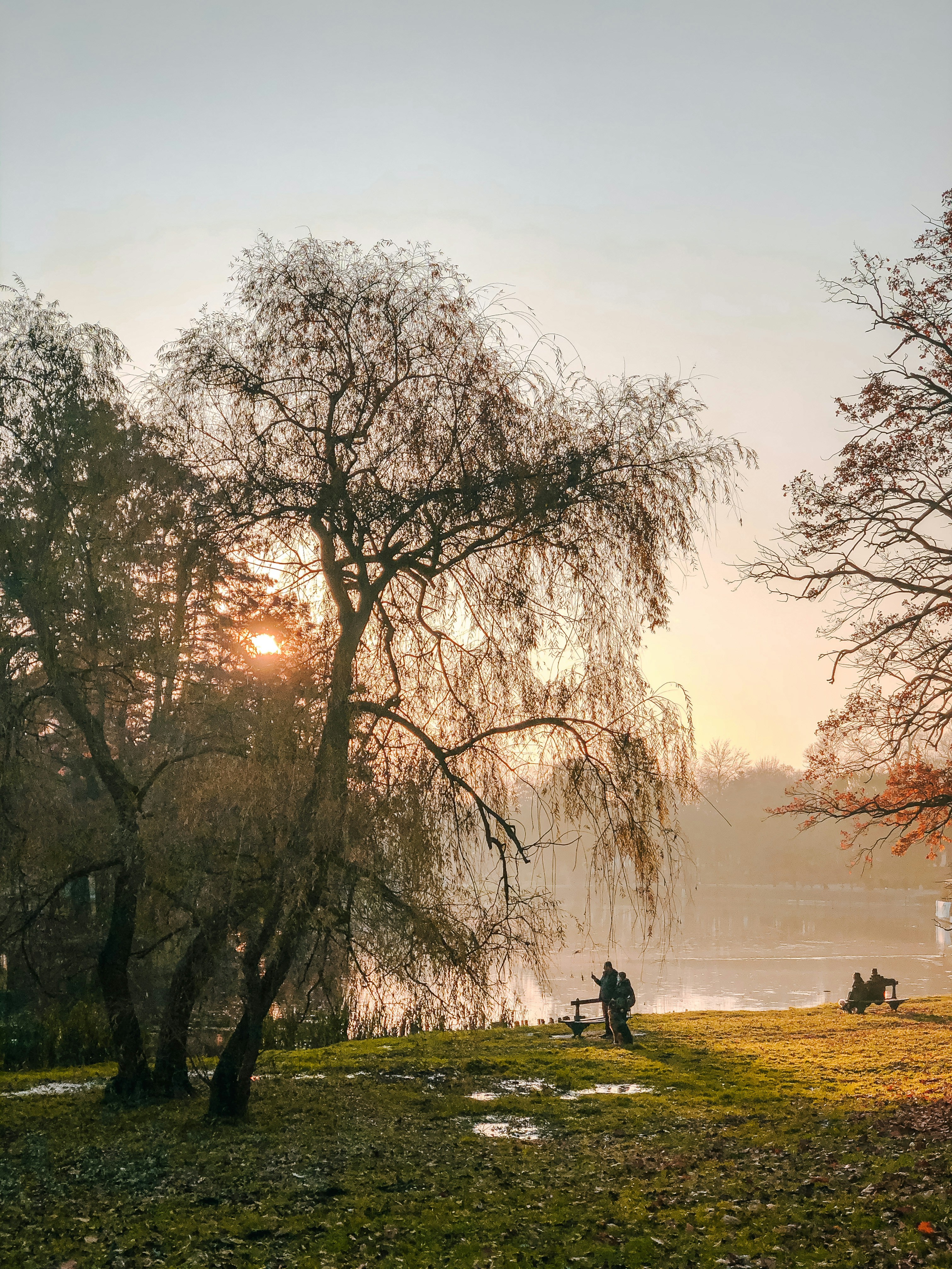Cazare în Craiova: apus de toamnă lângă lacul din Parcul Romanescu