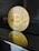 a golden bit coin sitting on top of a table