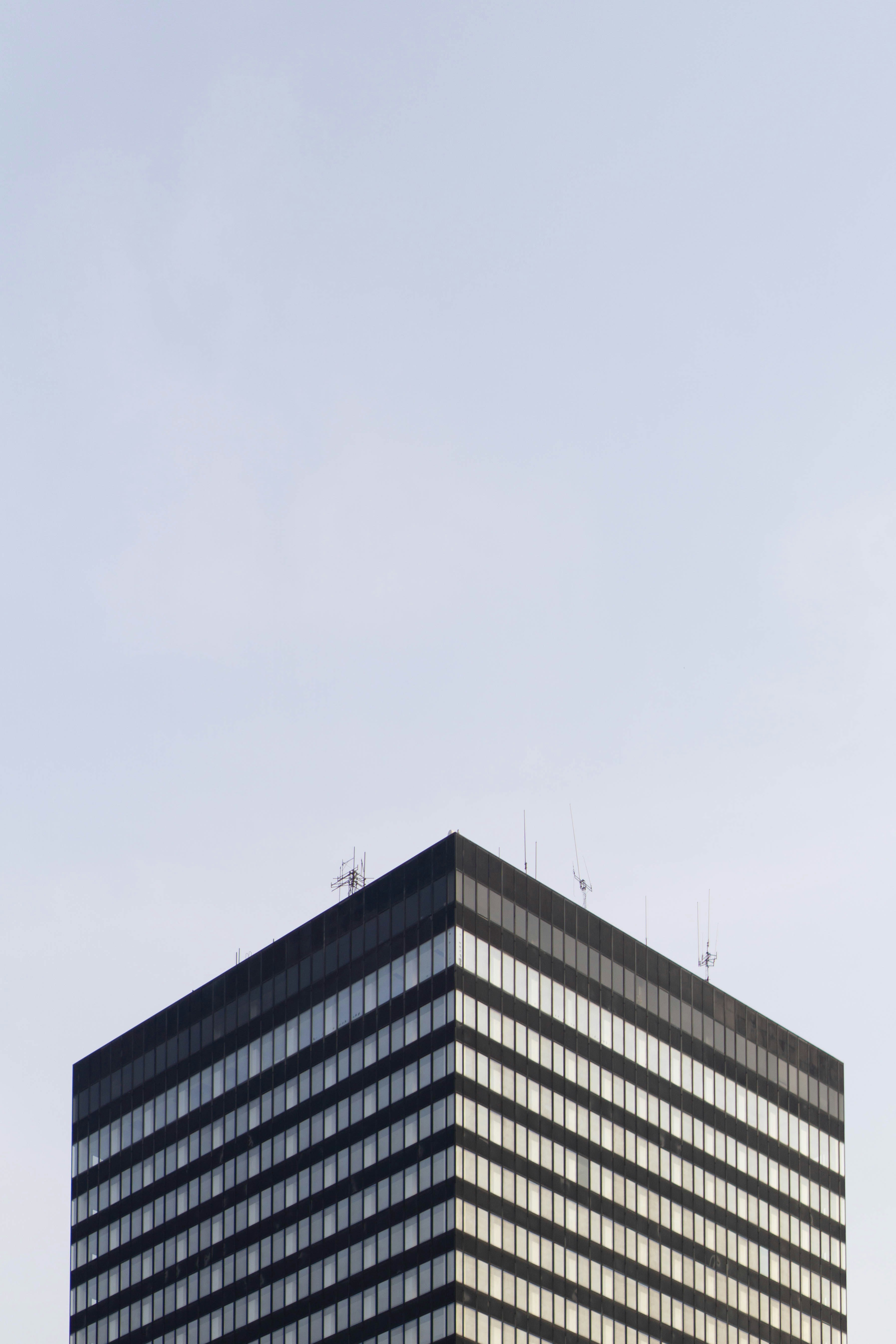 Photo by nafalhaldis