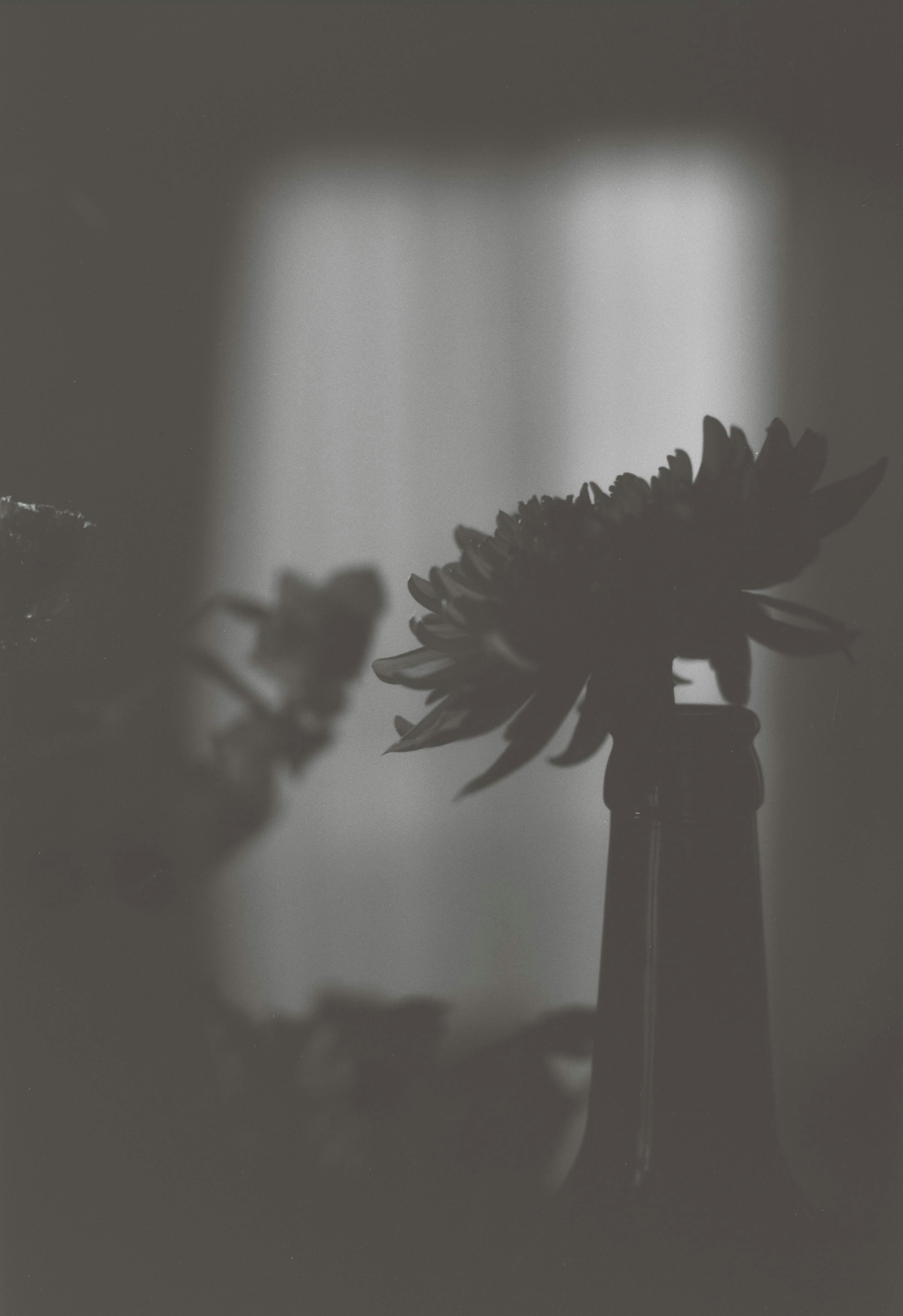 Surmonter le sentiment d’imposture