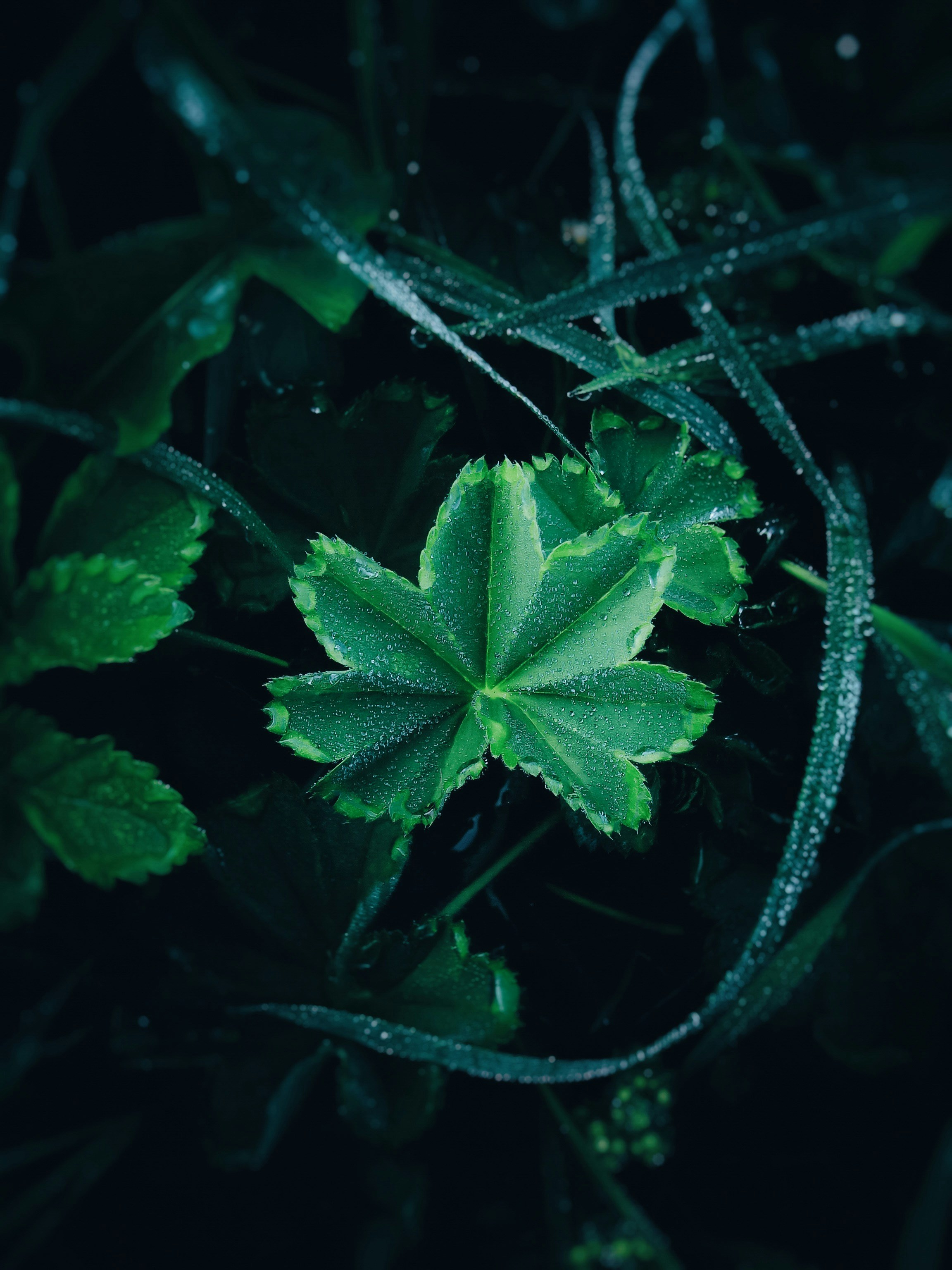 Photo by eugene_golovesov