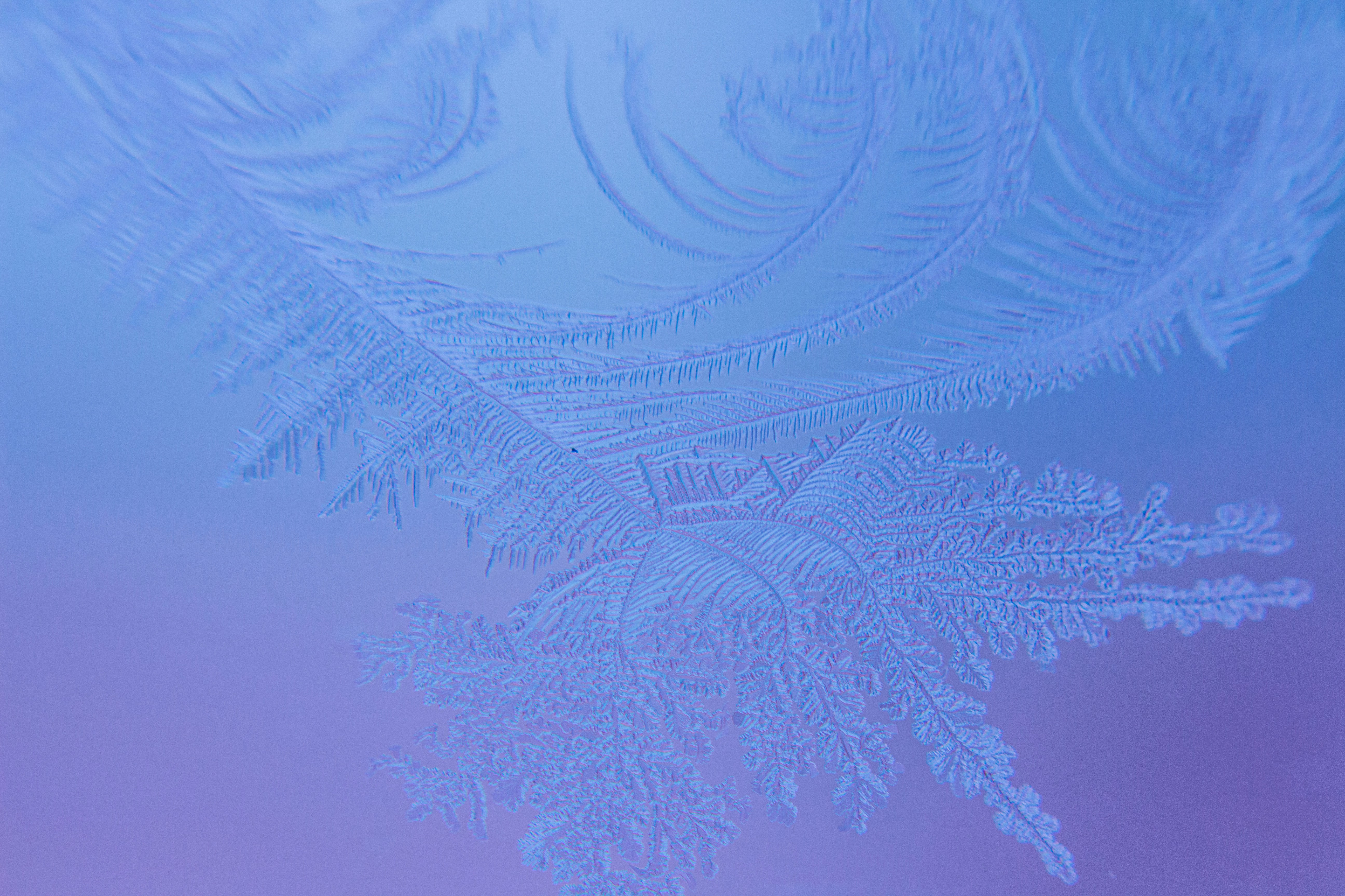 Un primer plano de una ventana esmerilada con un fondo azul