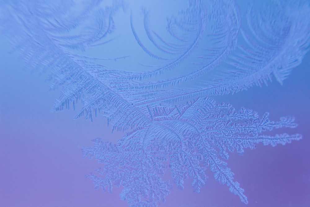 a close up of a frosted window with a blue background