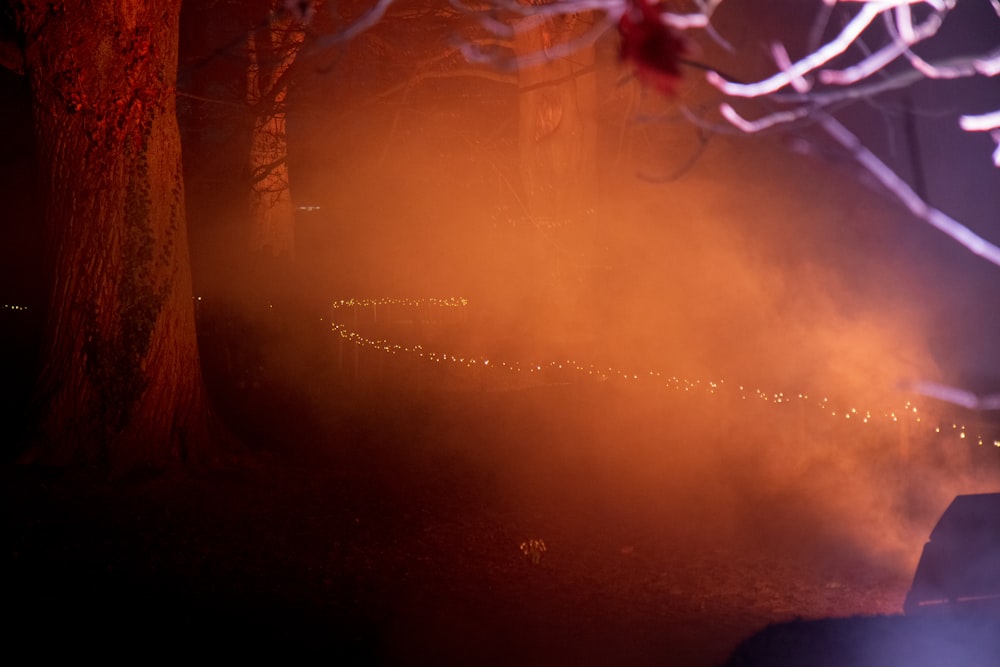 a foggy night with a car parked in the foreground