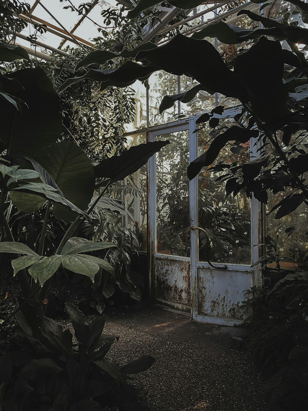 an old door in the middle of a garden