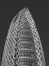 a black and white photo of a very tall building
