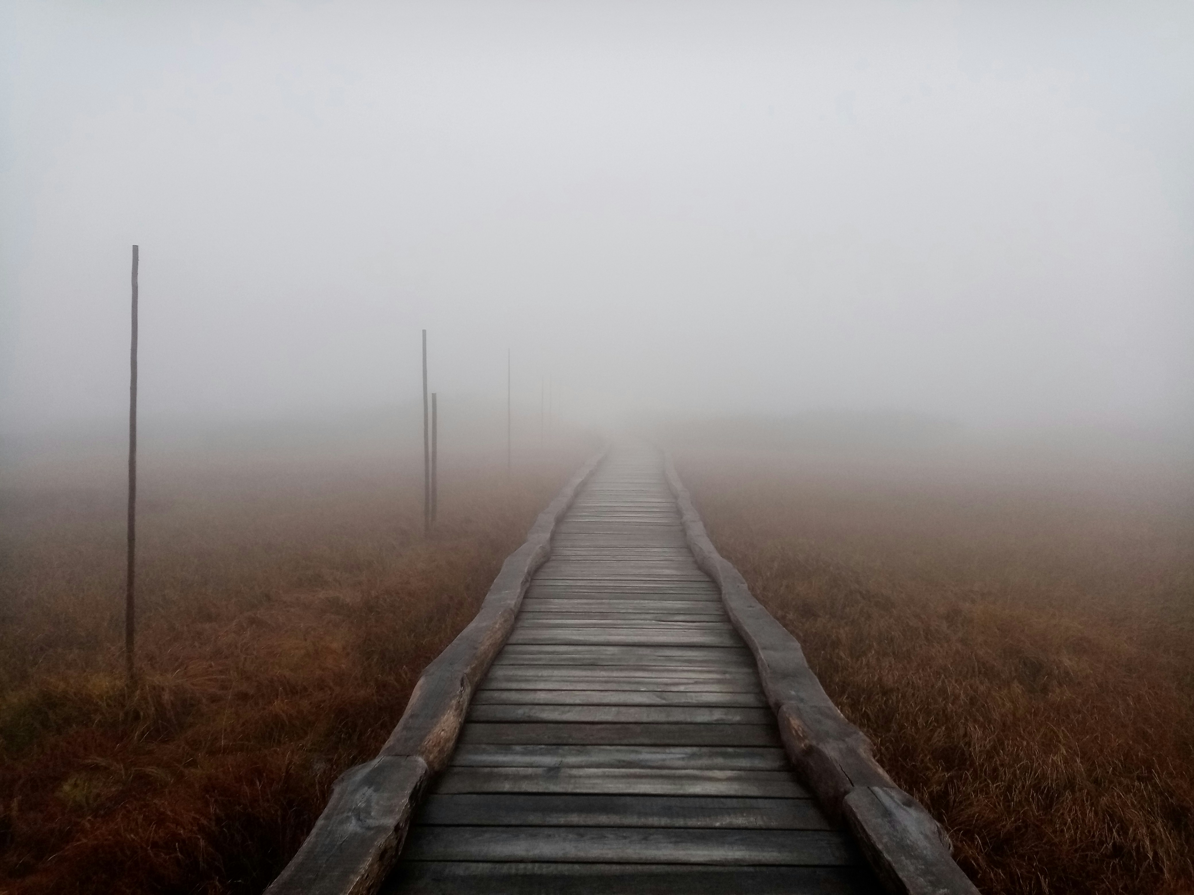 Photo by irynaostapenko