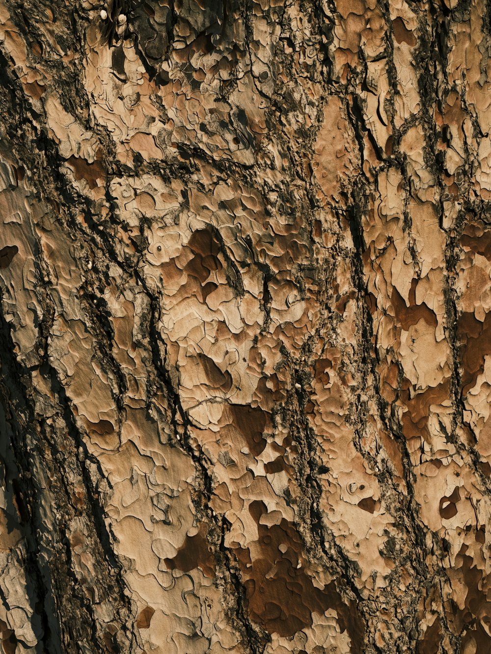 a close up of a tree trunk with a bird perched on top of it