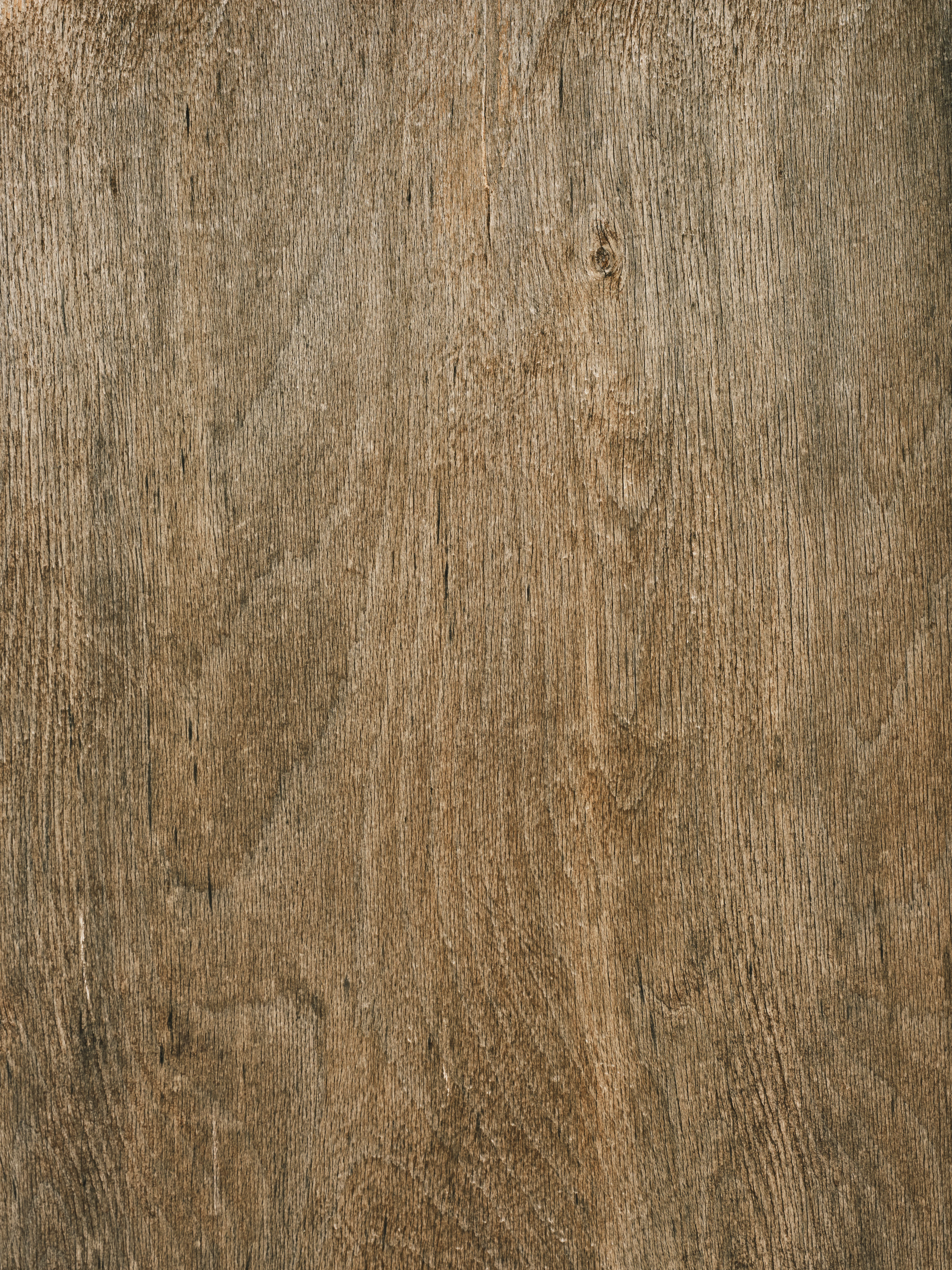 Close-up of quarter-sawn oak with fine, straight grain