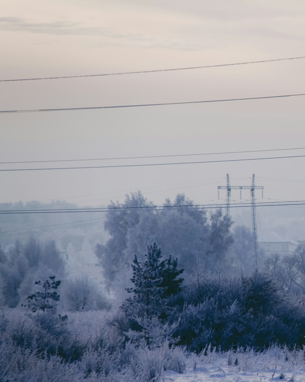a snowy field with power lines in the distance