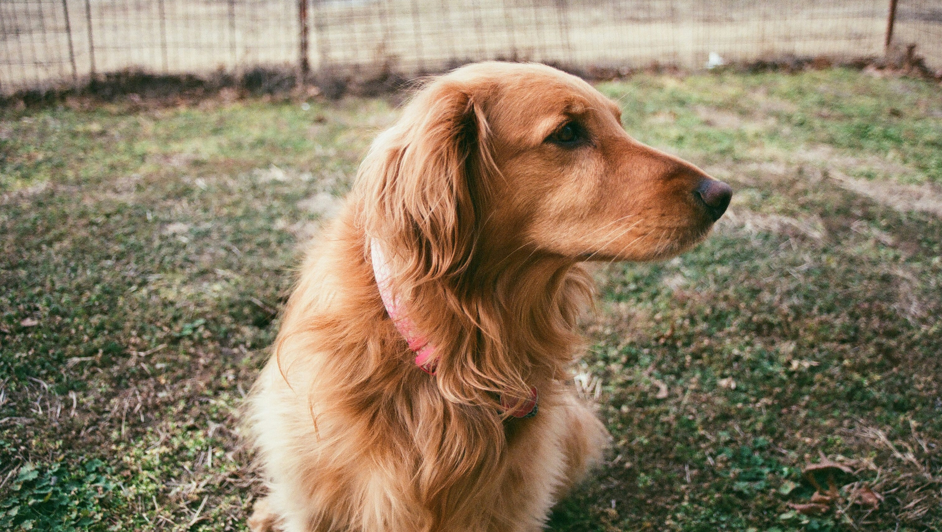 Photo by syrenofisys