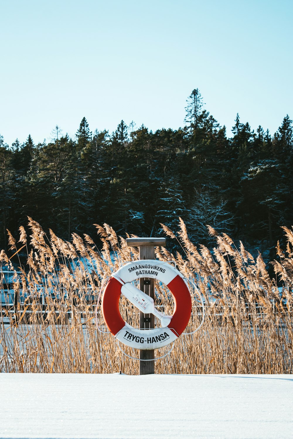 a red and white sign sitting in the middle of a field