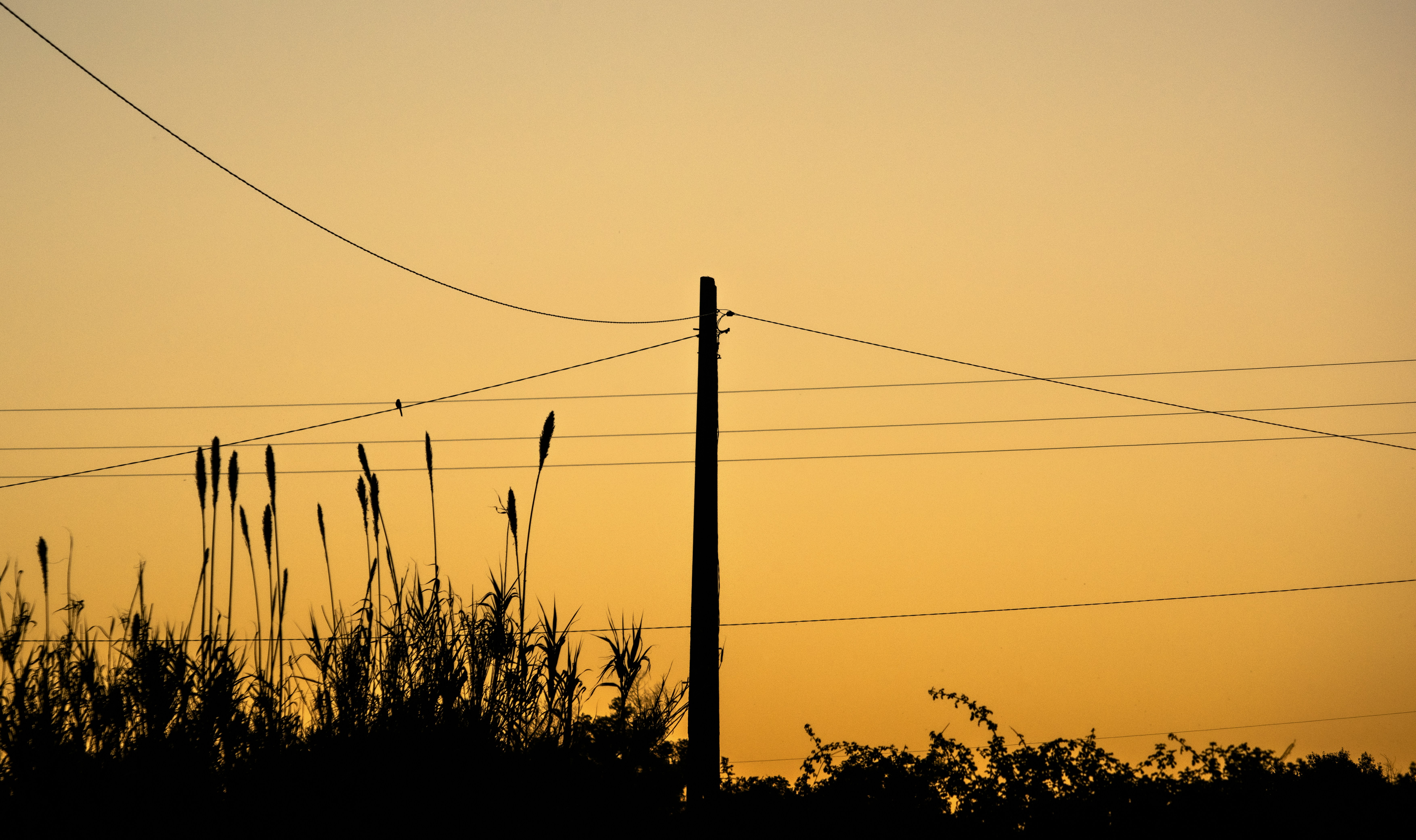 Photo by bruschyography