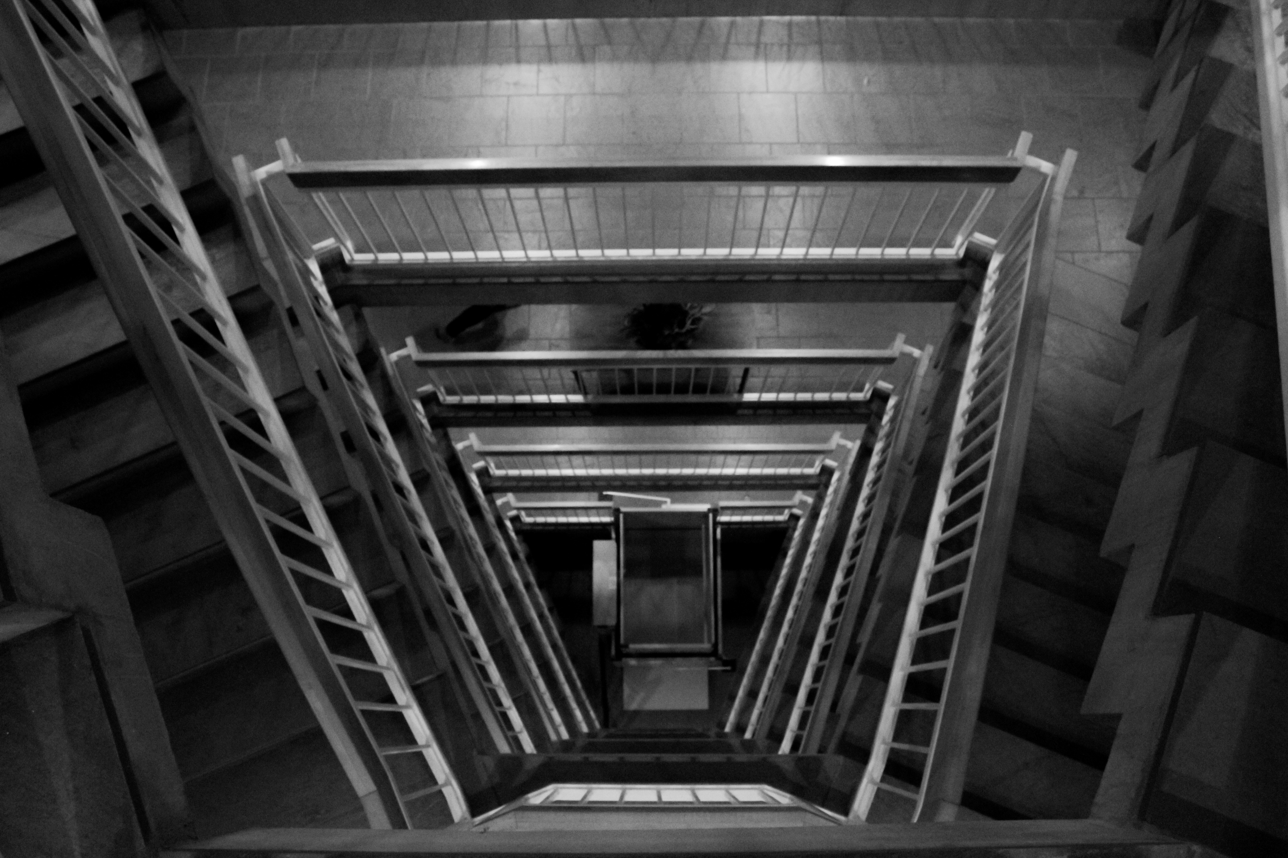 Photo by carissacarterphotography