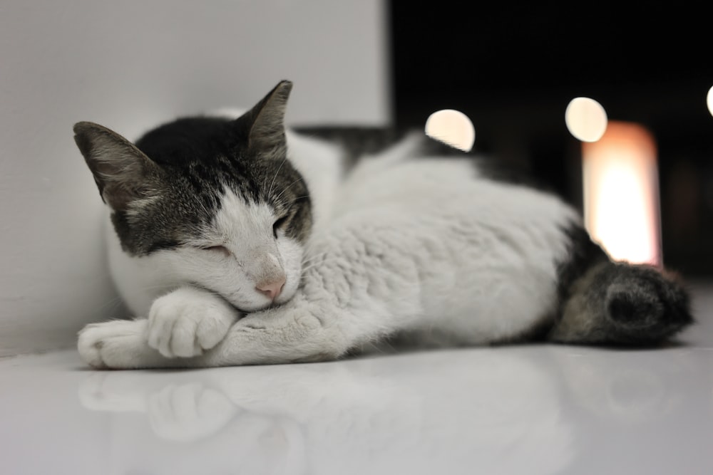 a black and white cat is sleeping on the floor