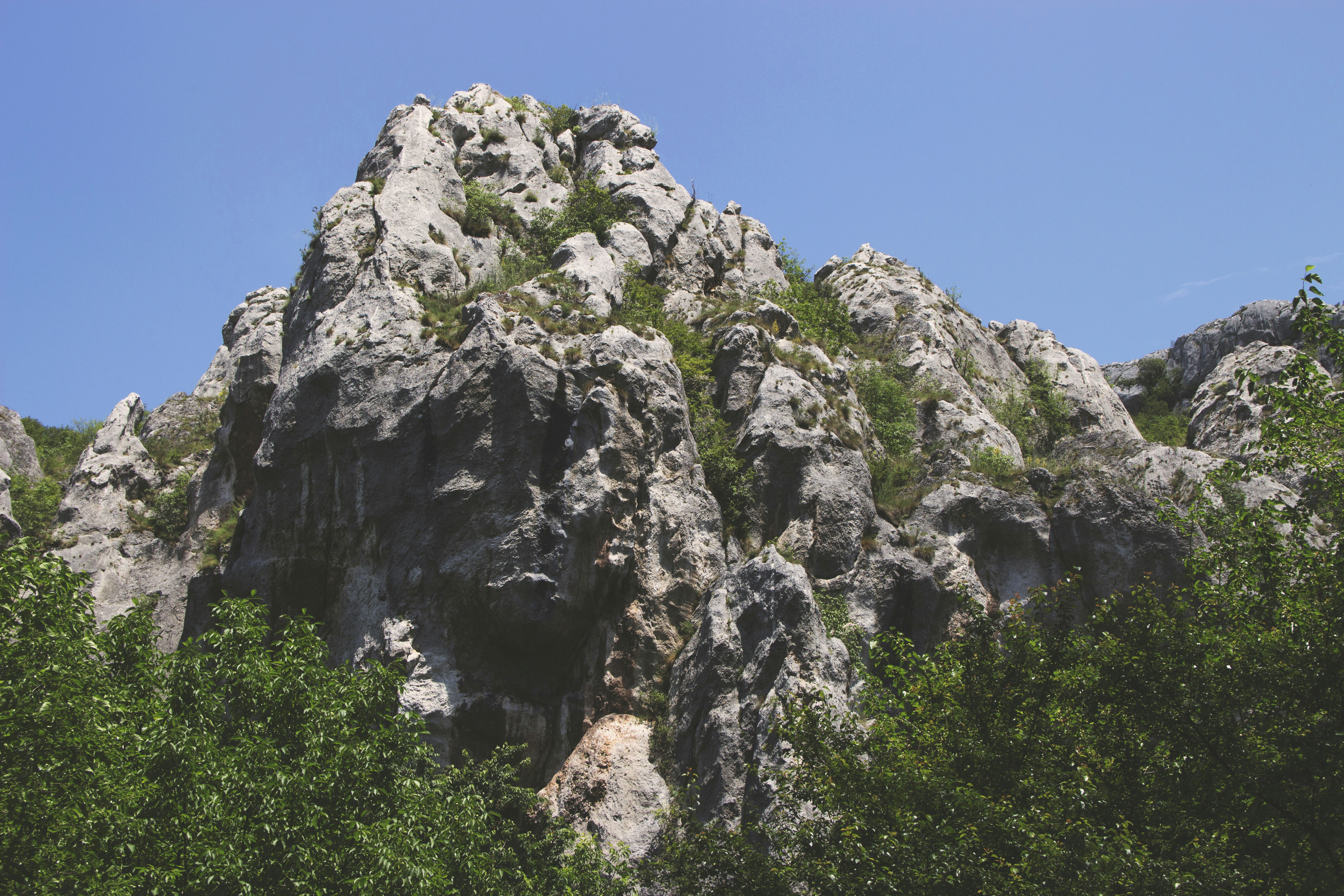 a large rock formation with trees around it