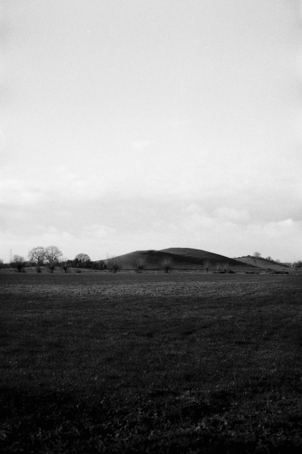 a black and white photo of a grassy field